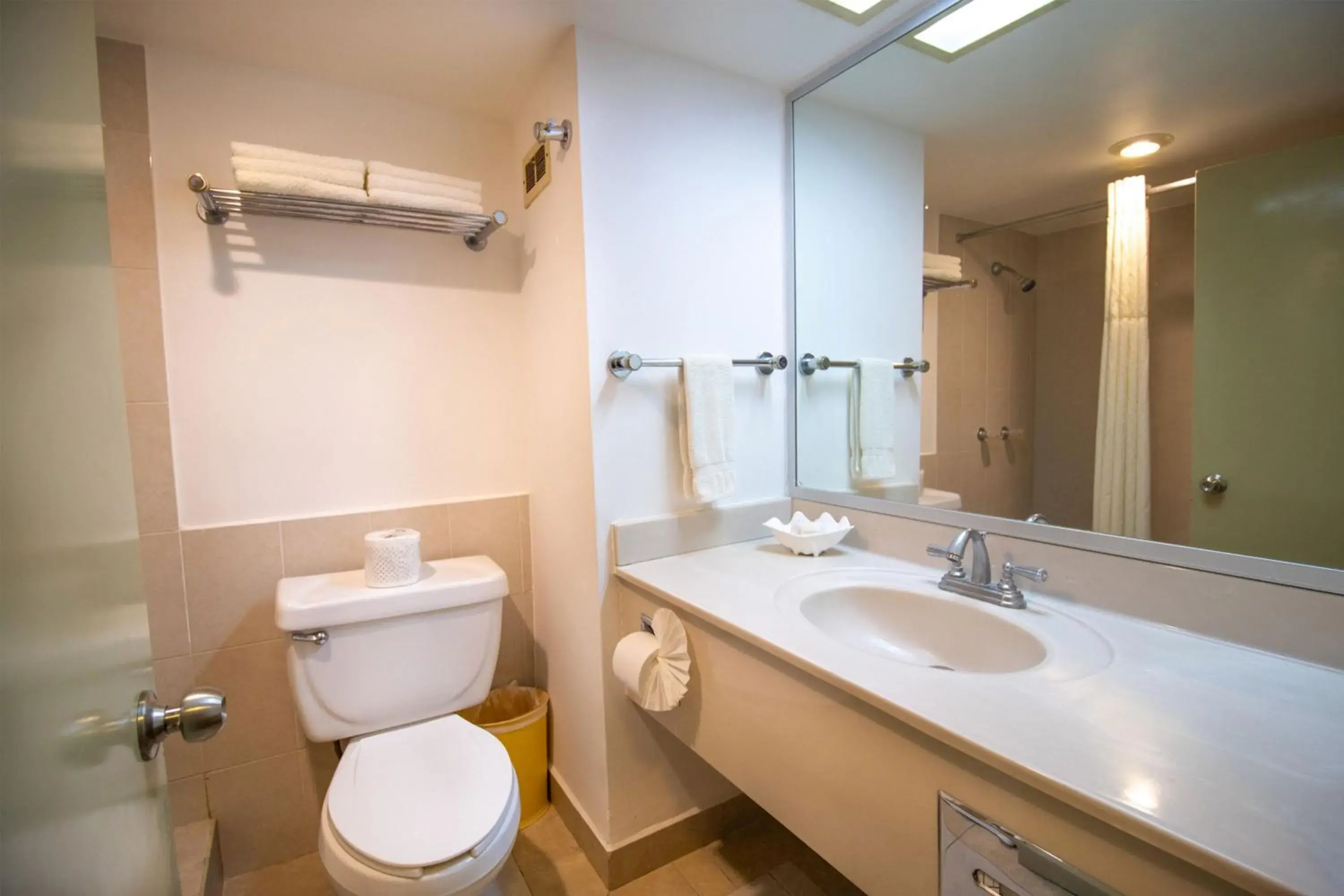 Toilet, Bathroom in Araiza Palmira Hotel y Centro de Convenciones