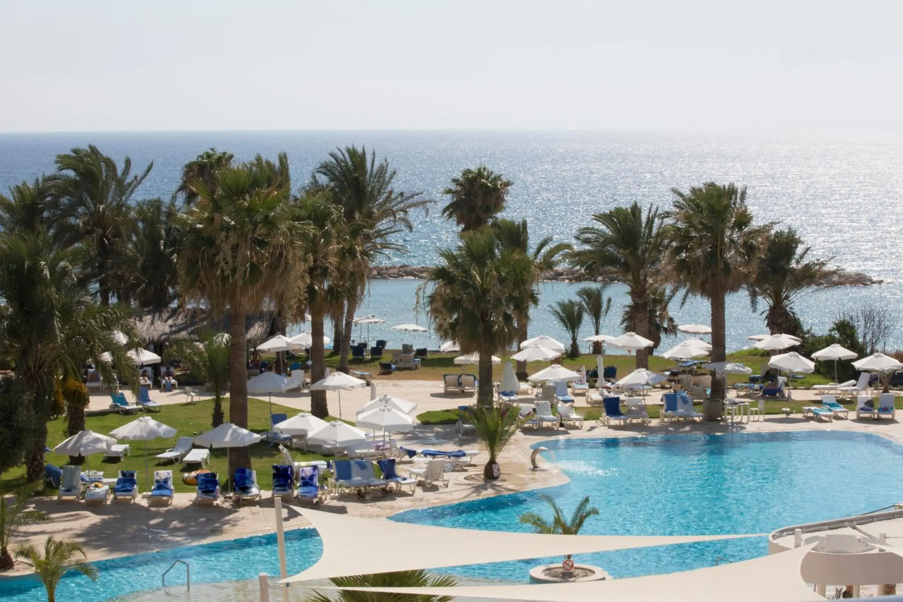 Swimming Pool in Venus Beach Hotel