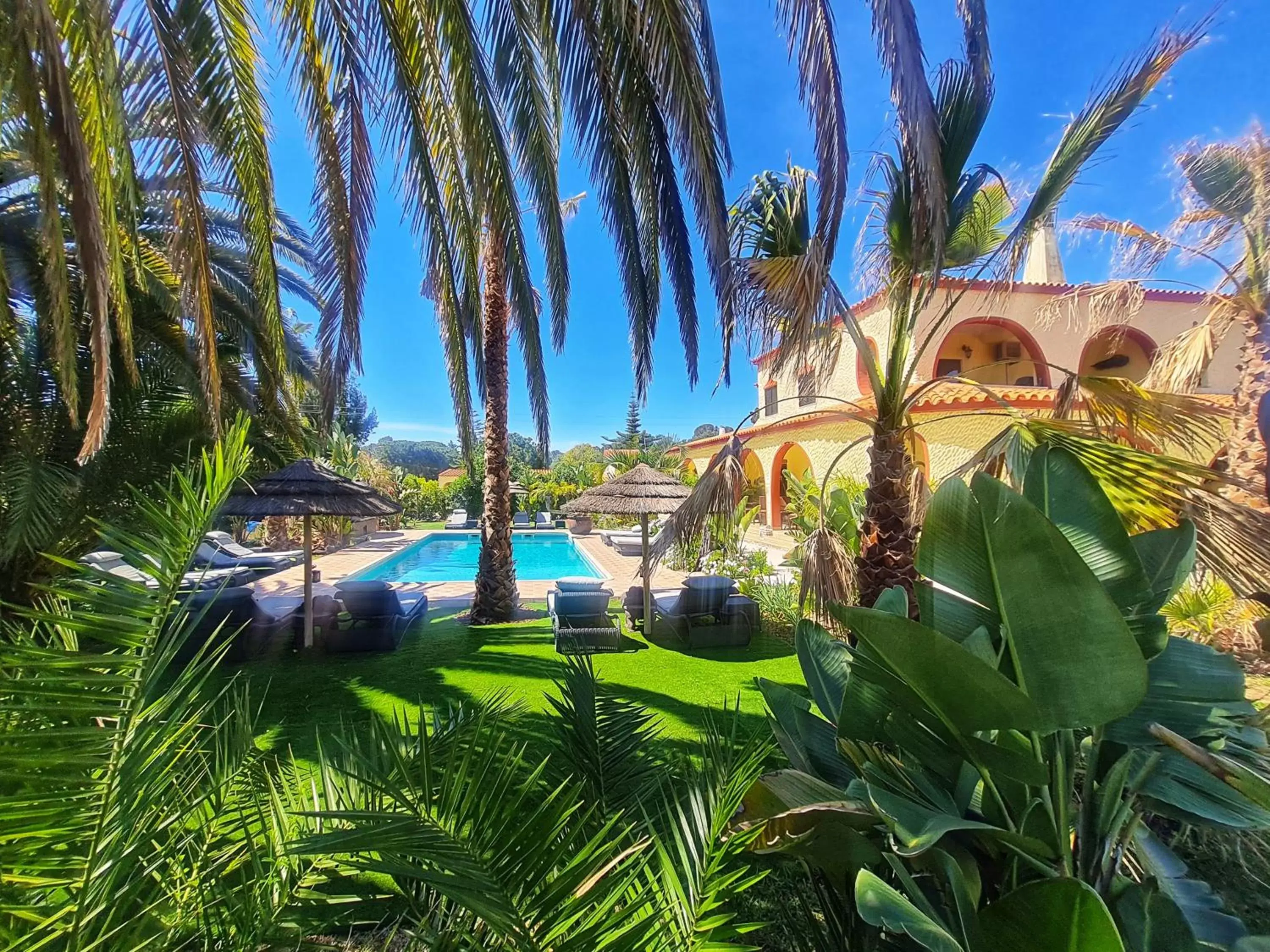 Garden, Pool View in Villa Paraiso - Naturism Optional Adults Only