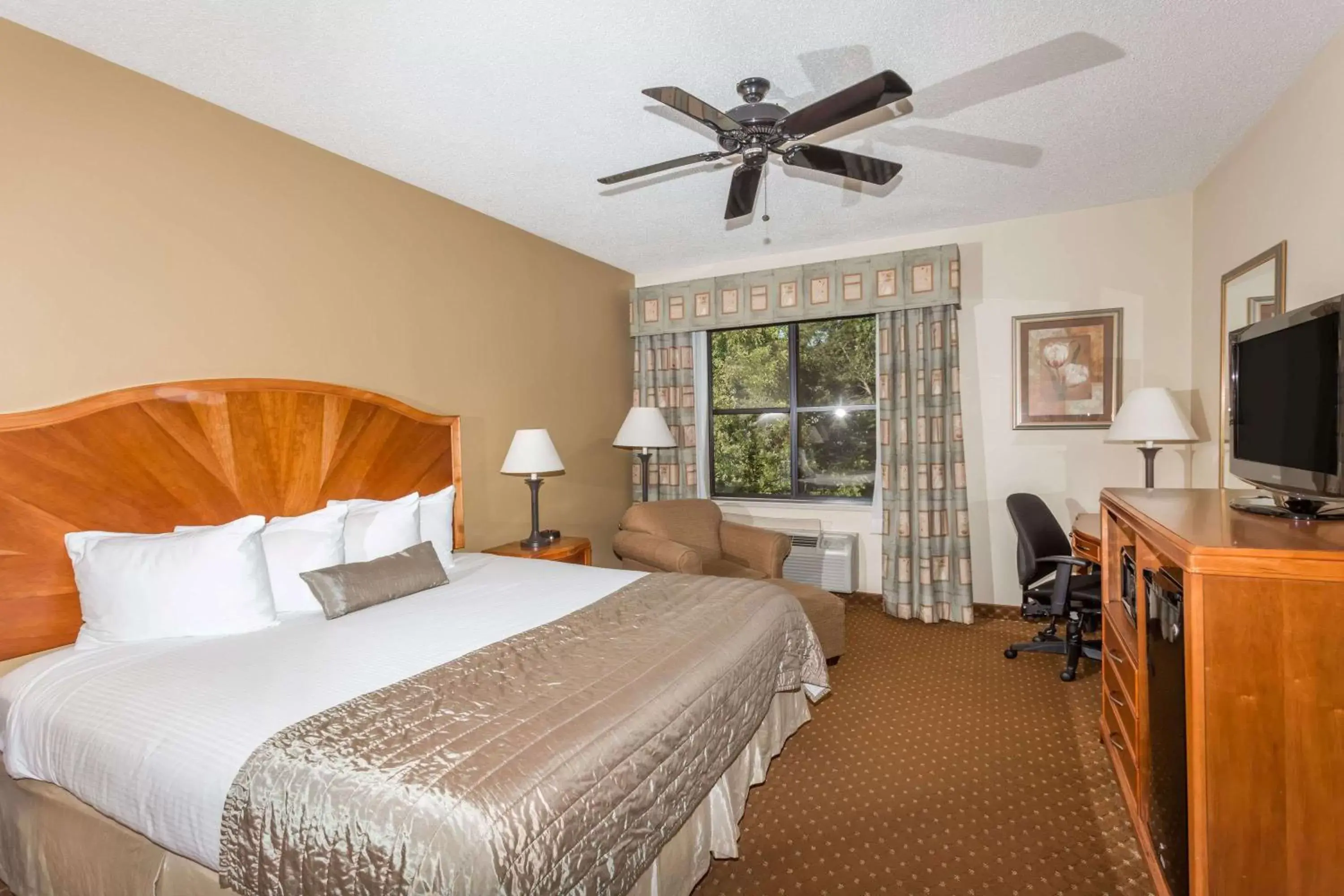 Photo of the whole room, Bed in Baymont by Wyndham Asheville/Biltmore