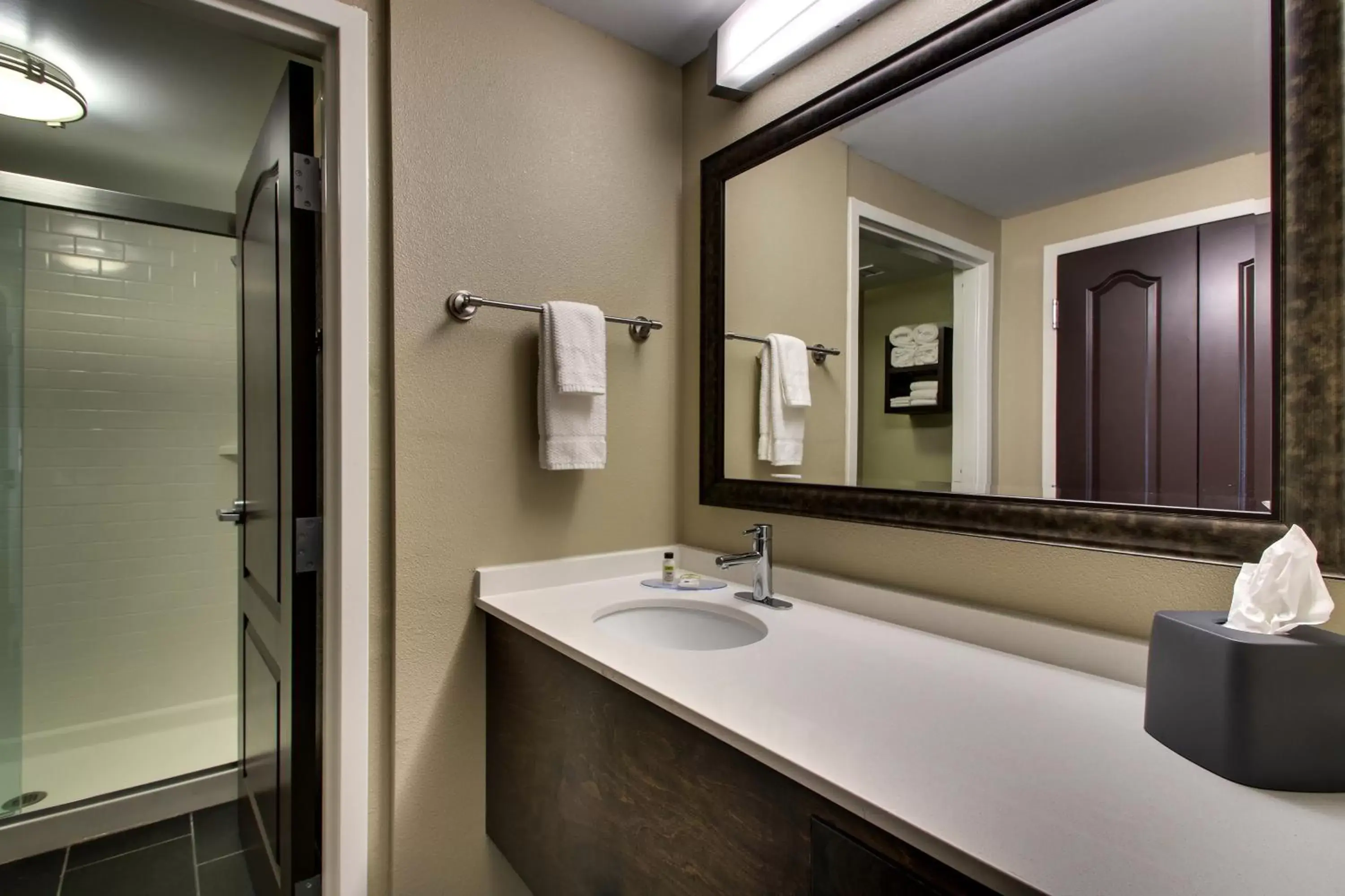 Bathroom in Staybridge Suites - Rock Hill, an IHG Hotel