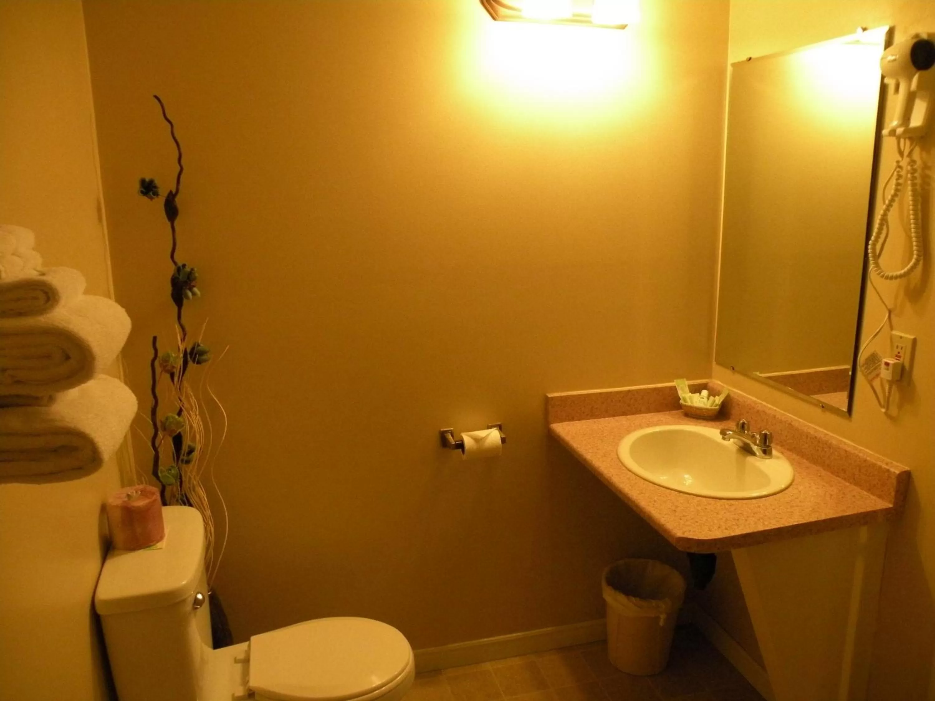 Bathroom in Hawberry Motel