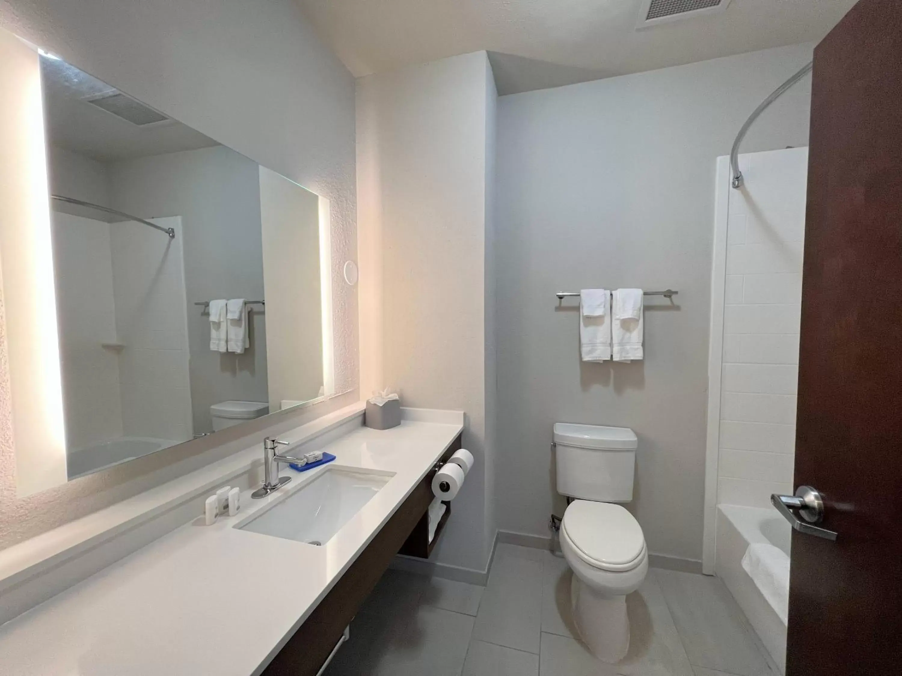 Bathroom in Holiday Inn Express Hotel & Suites Atlanta Airport West - Camp Creek, an IHG Hotel