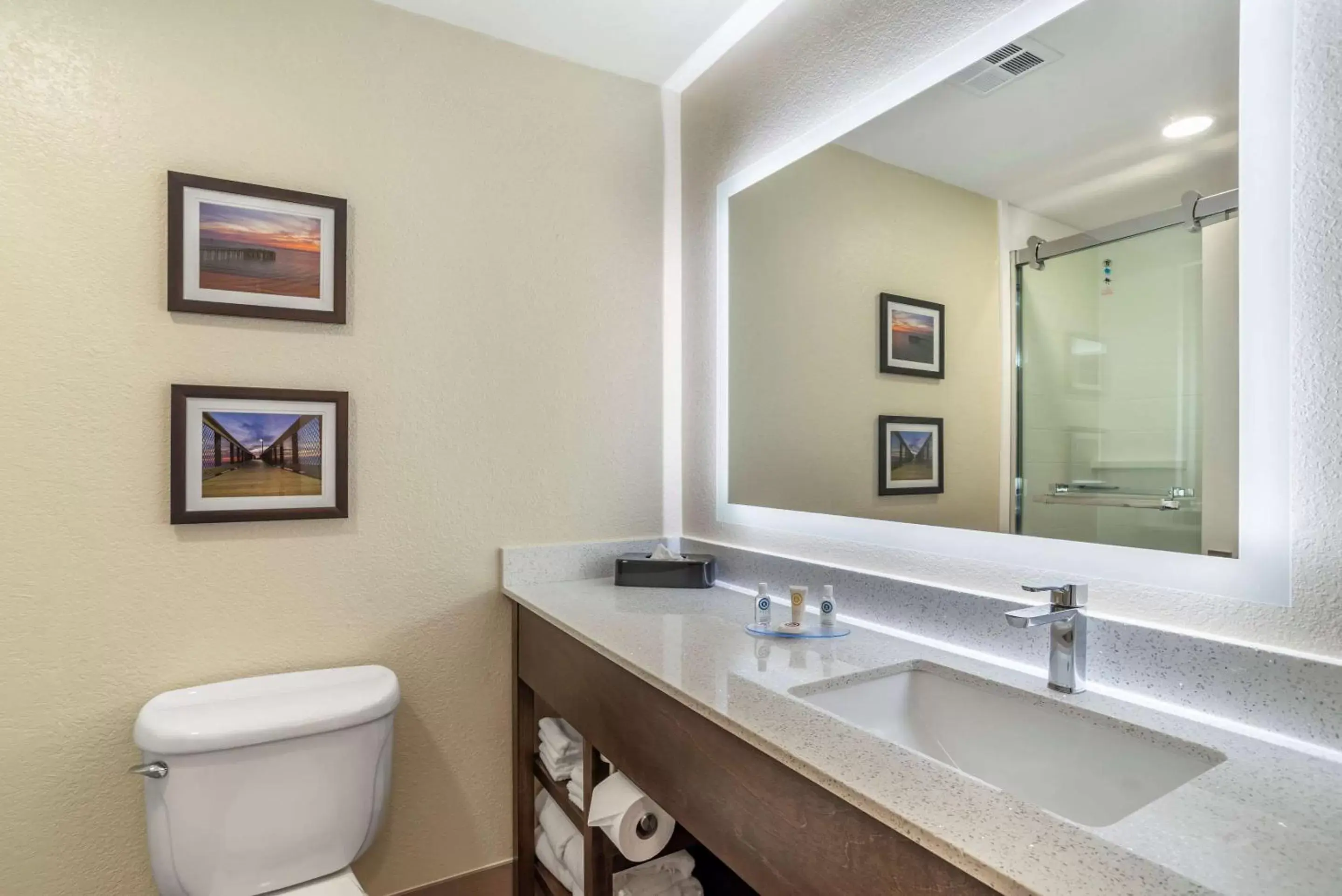 Bathroom in Comfort Inn & Suites Millbrook - Pratville