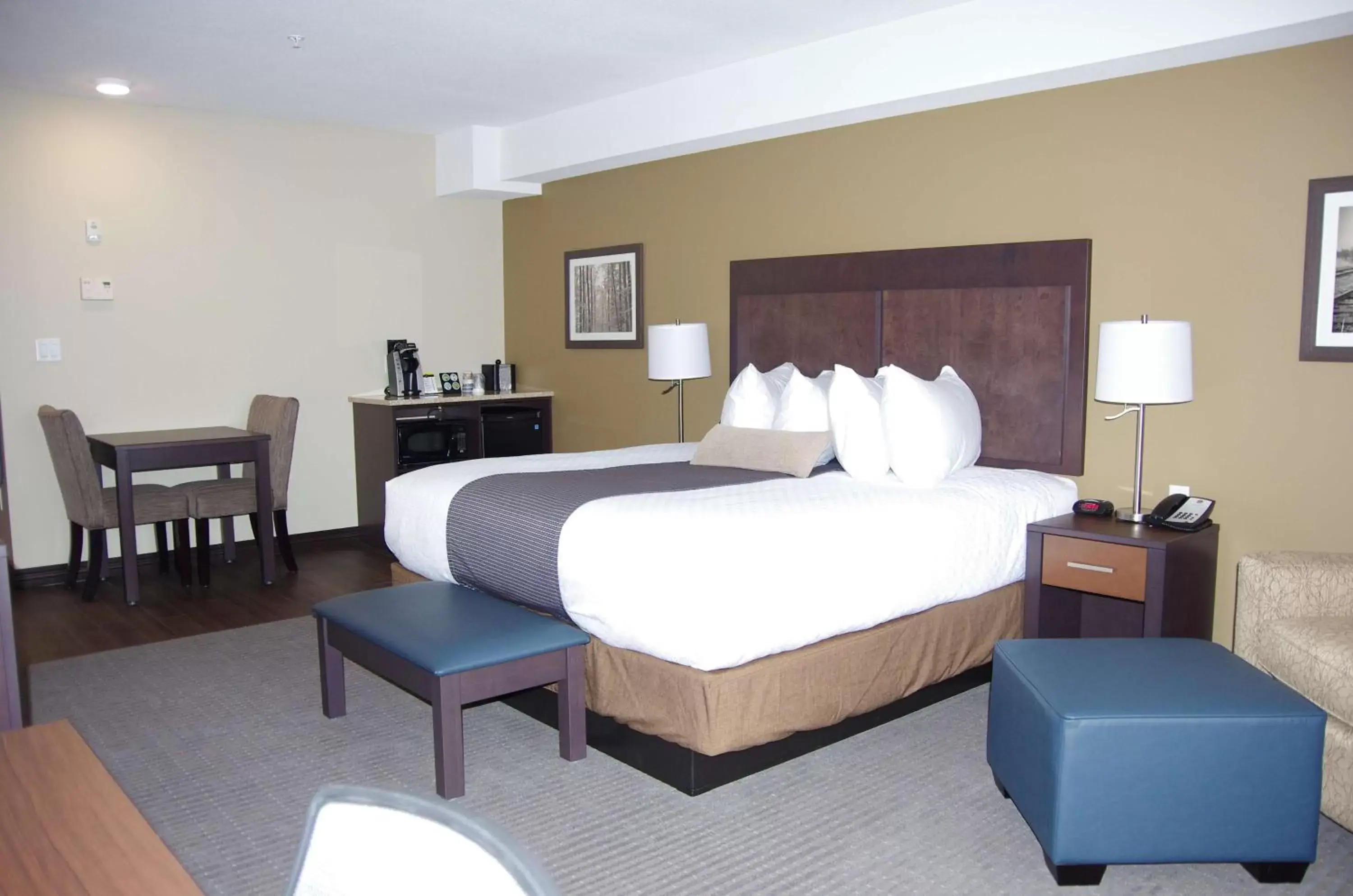 Photo of the whole room in Best Western Plus Lacombe Inn and Suites