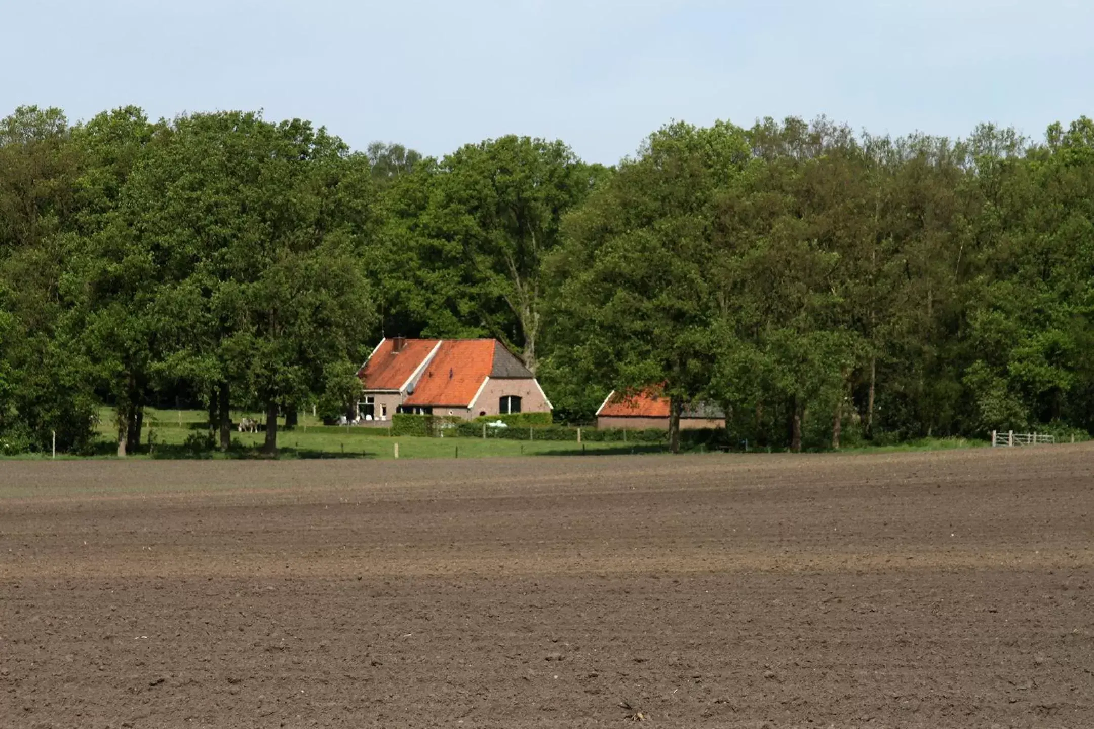 Natural landscape, Property Building in Landgoedhotel Woodbrooke Barchem