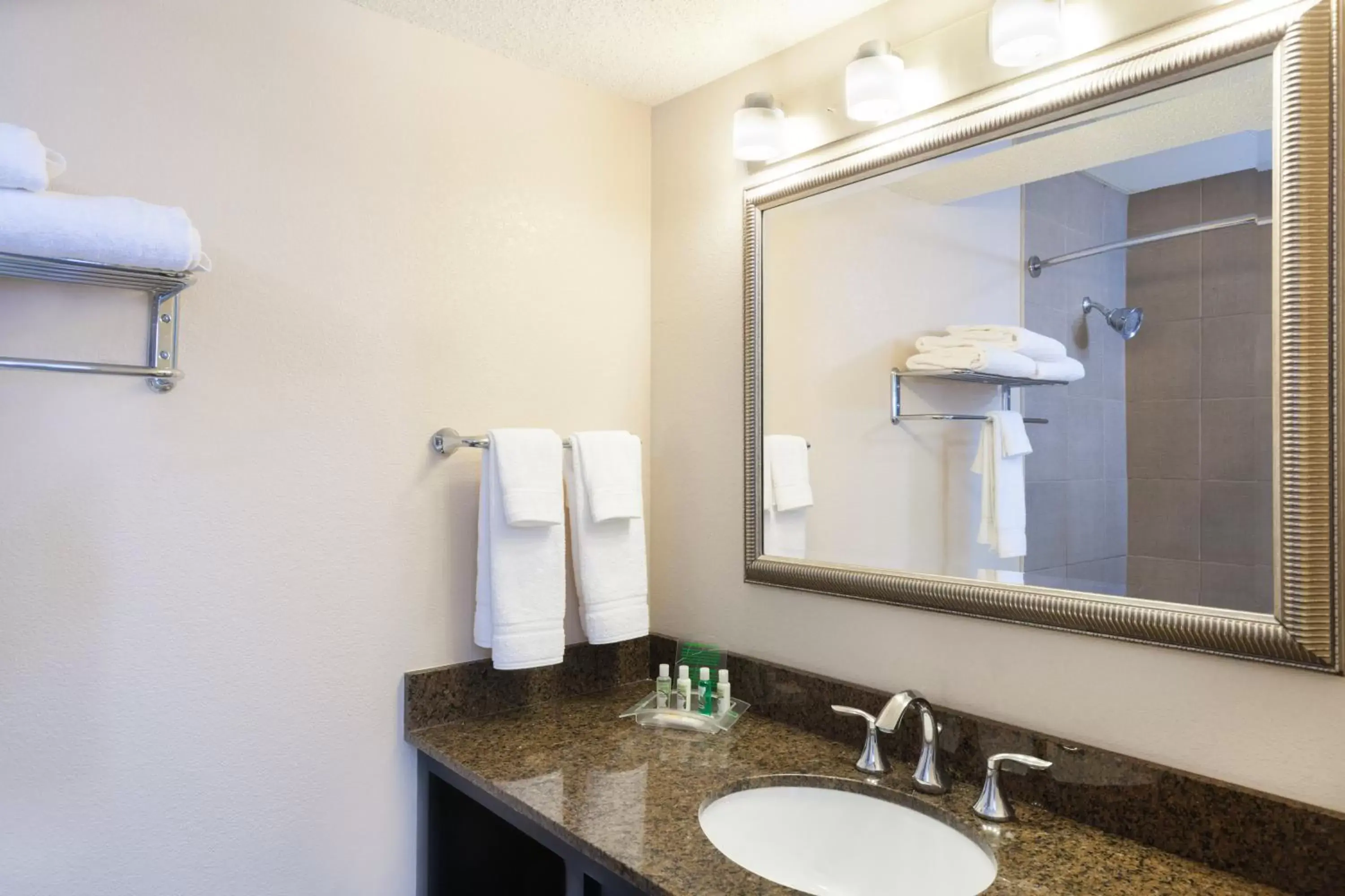 Photo of the whole room, Bathroom in Holiday Inn Metairie New Orleans, an IHG Hotel