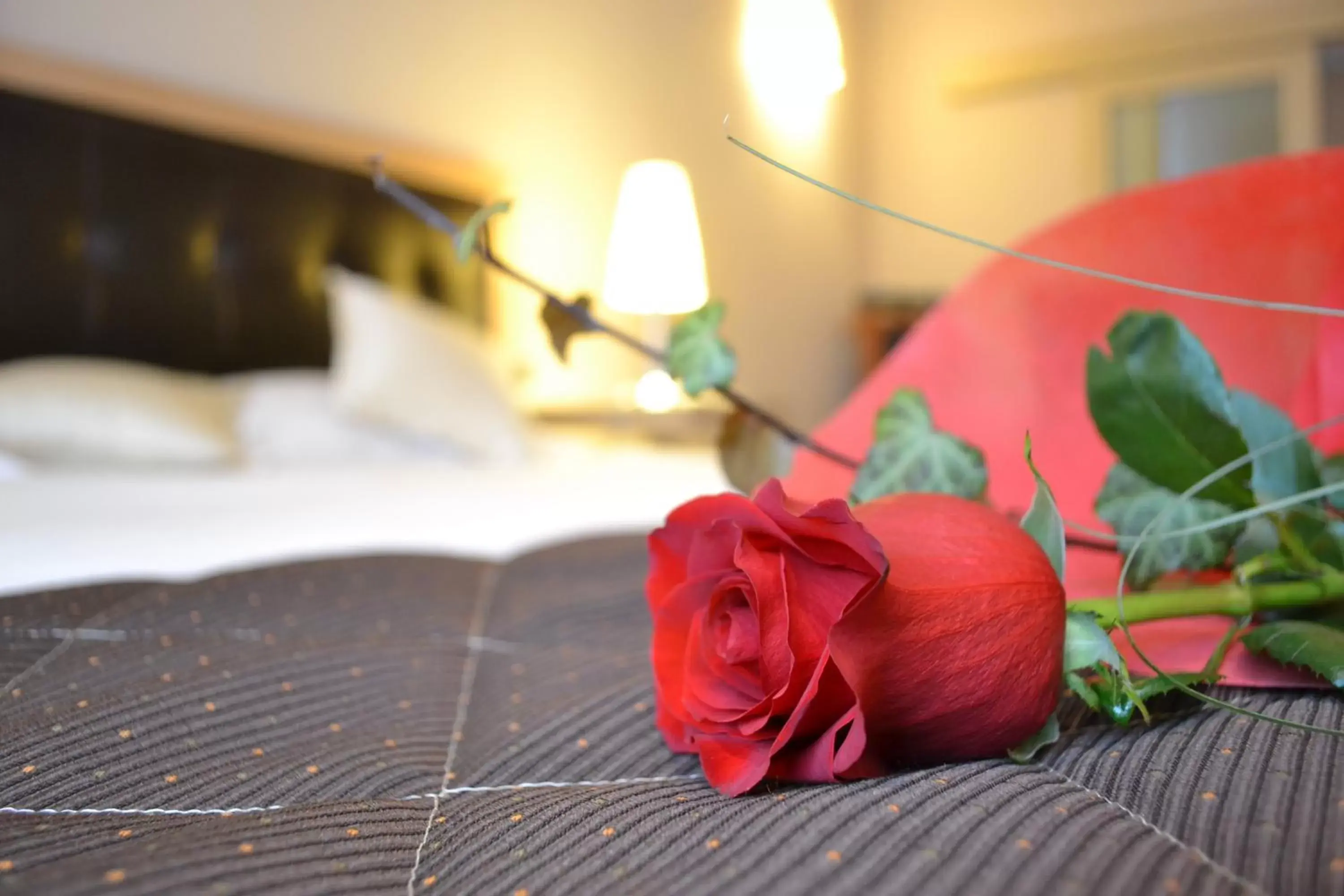 Decorative detail, Bed in Hotel Master