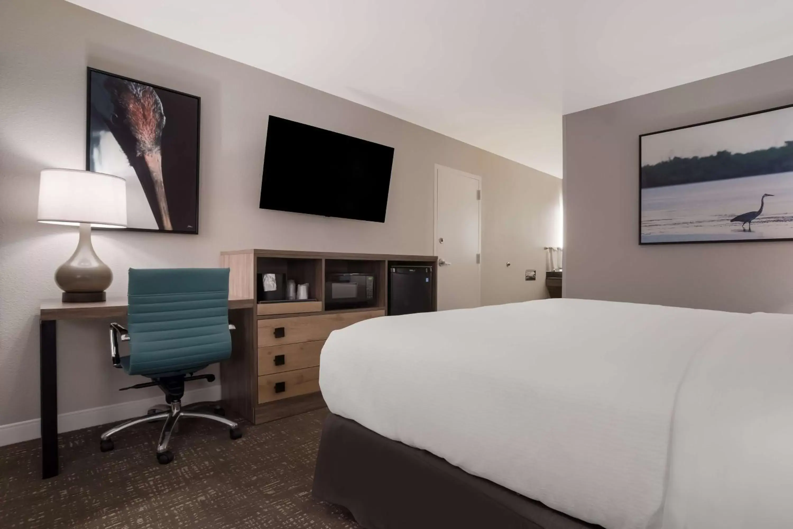Bedroom, TV/Entertainment Center in Best Western Flagship Inn