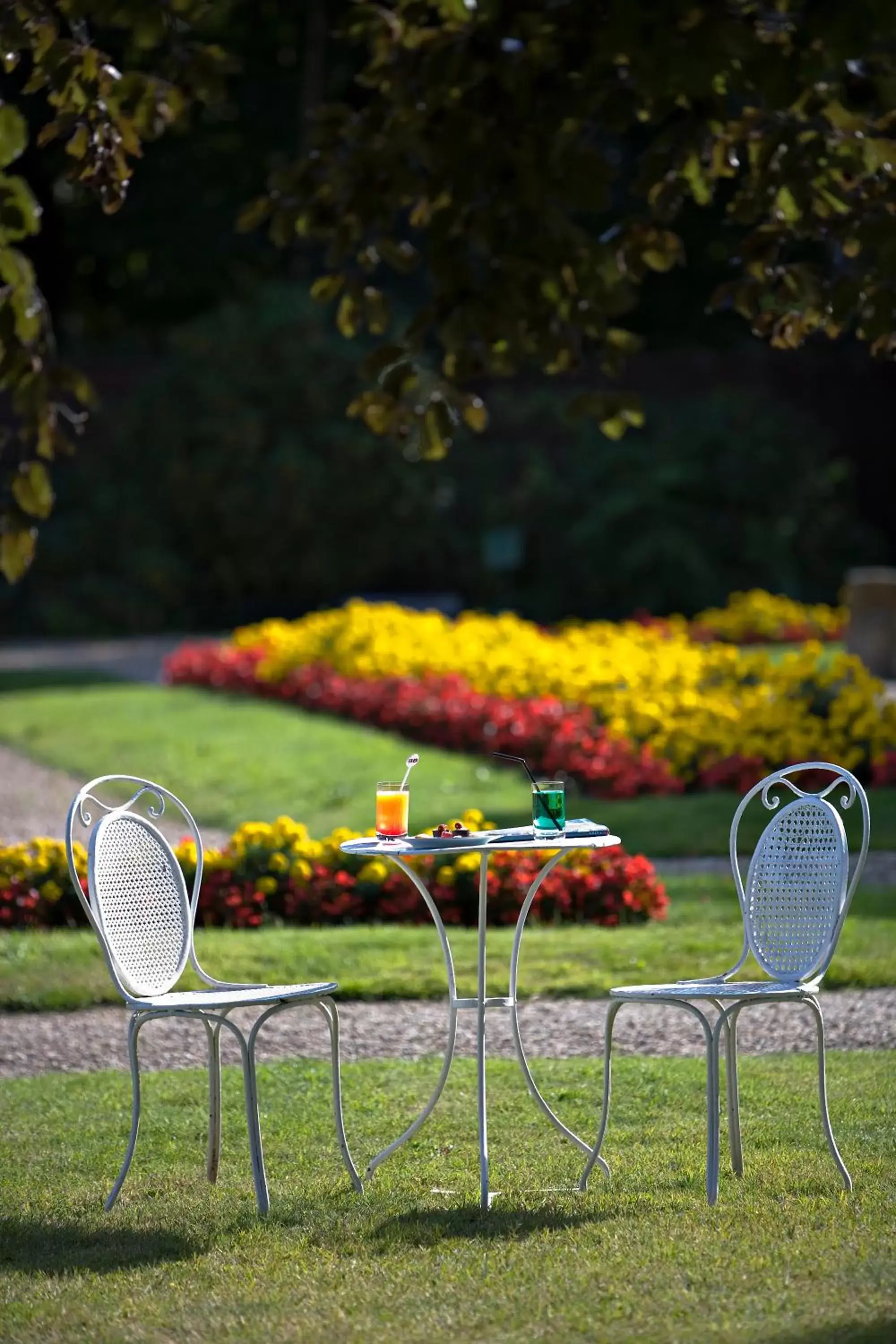 Garden in Hôtellerie Du Bas-Bréau