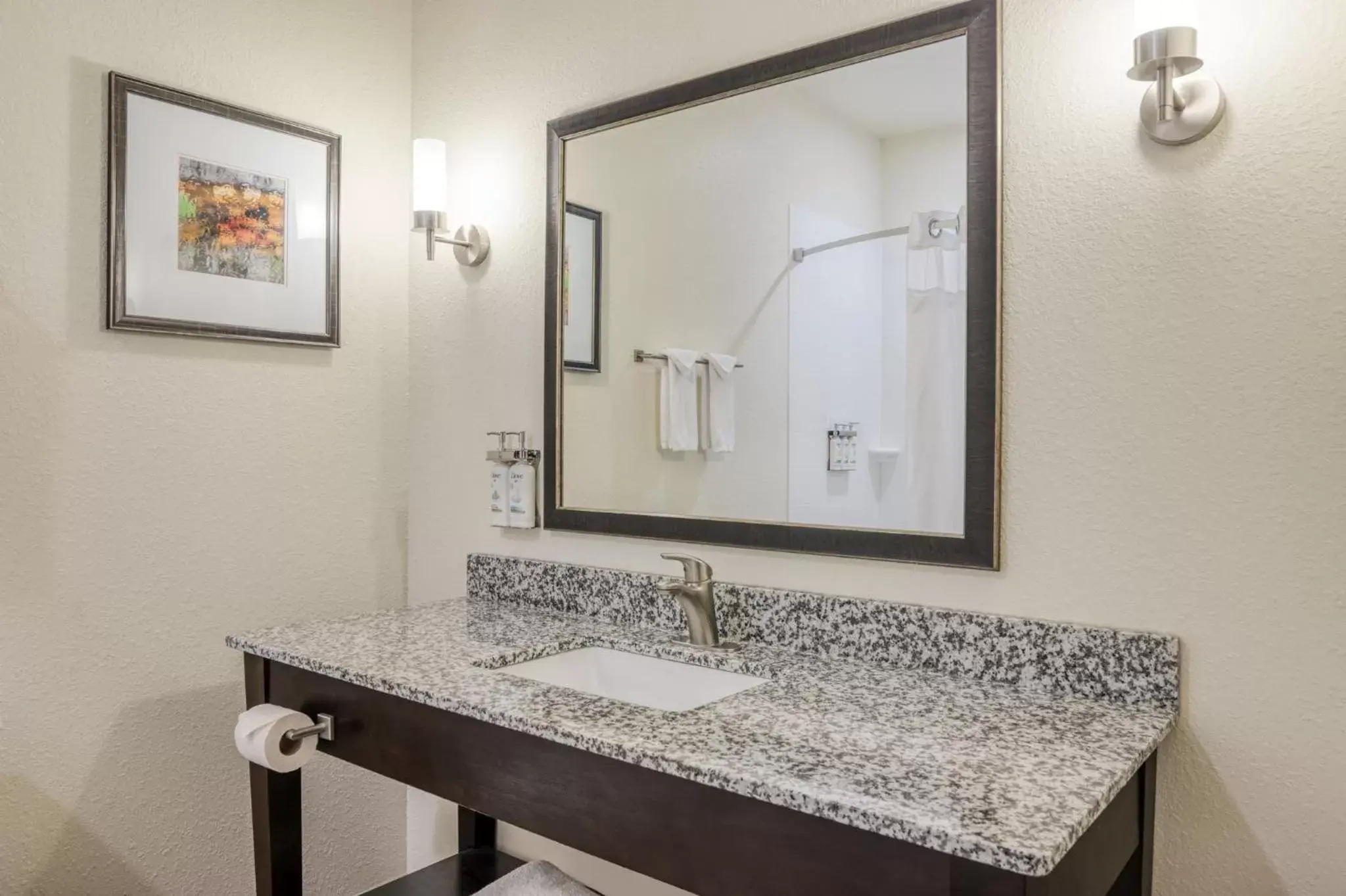 Photo of the whole room, Bathroom in Holiday Inn Express and Suites Edwardsville, an IHG Hotel