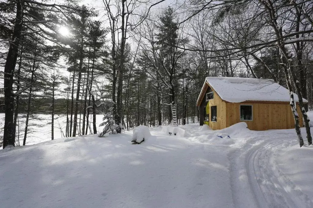 Off site, Winter in Clary Lake Bed and Breakfast