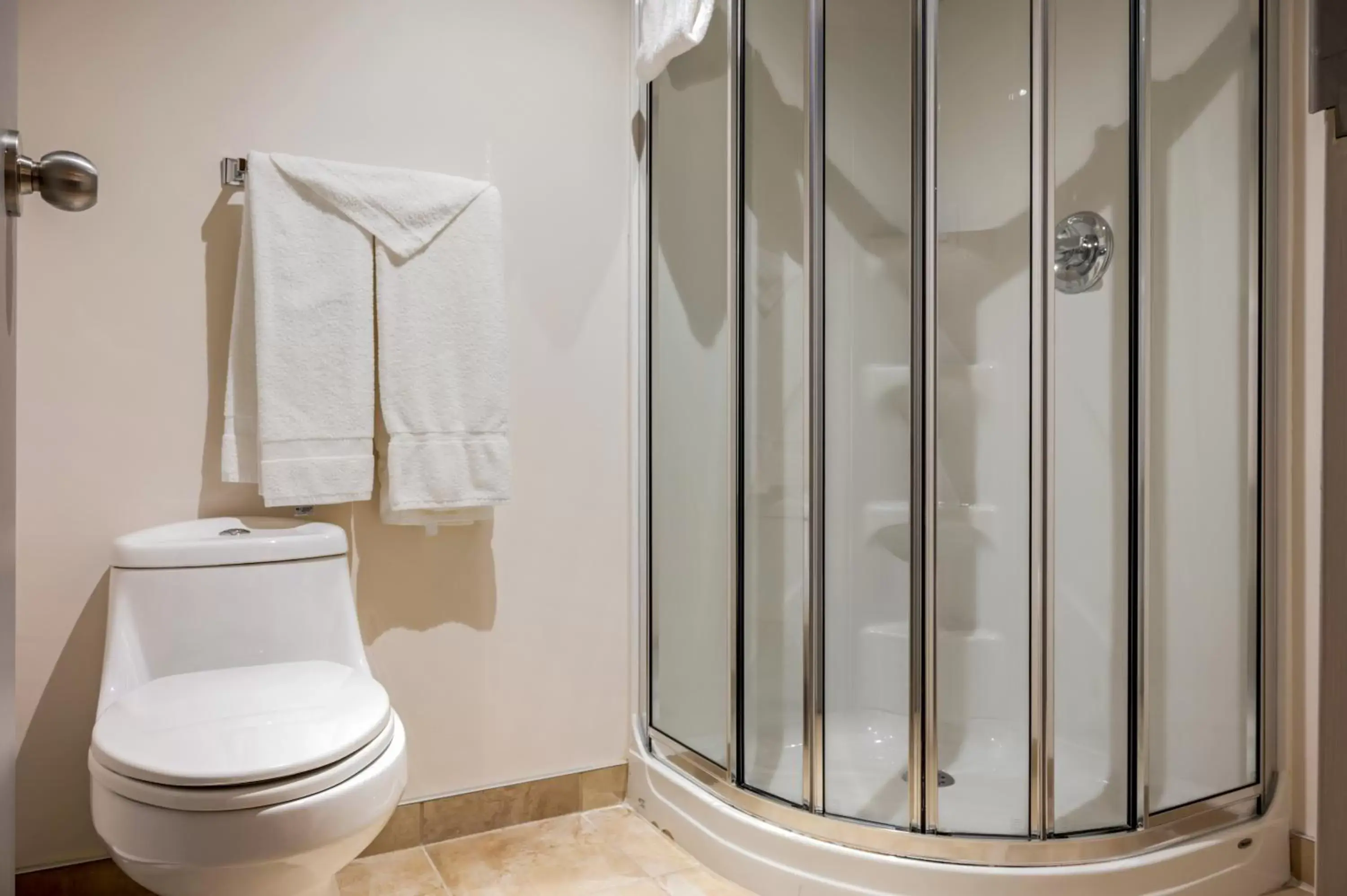 Shower, Bathroom in Econo Lodge Inn & Suites