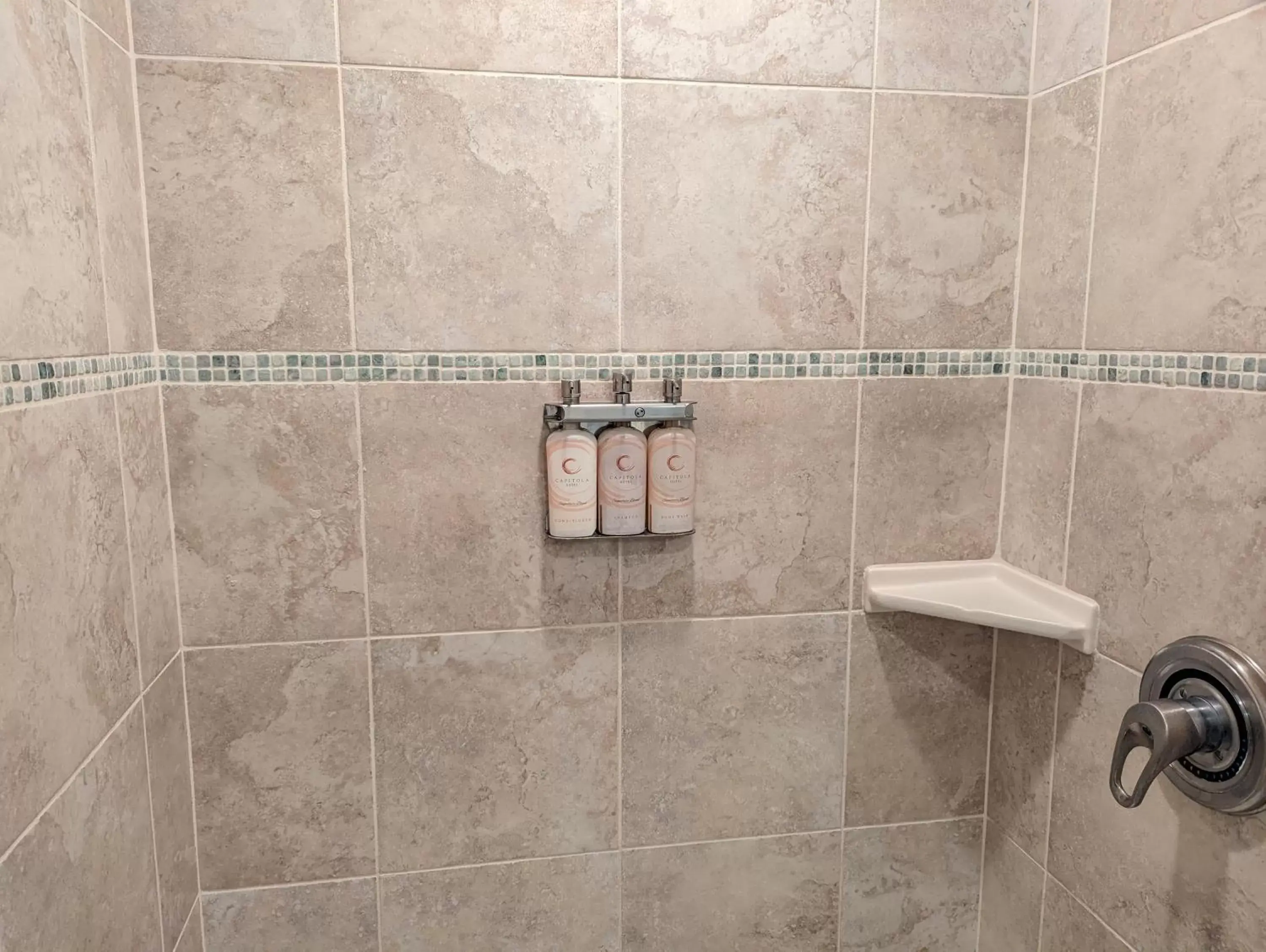 Shower, Bathroom in Capitola Hotel