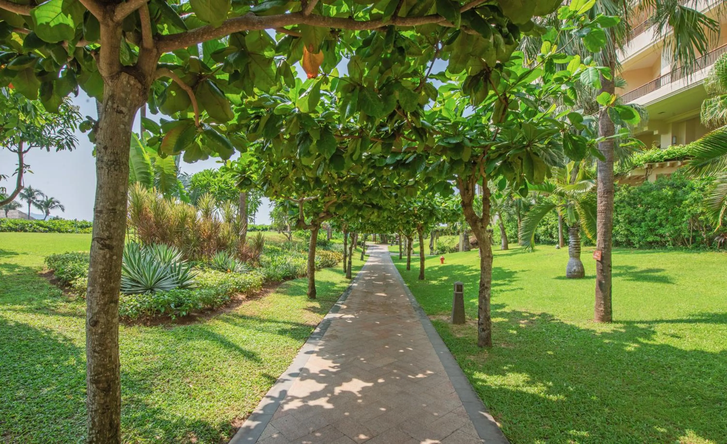 Natural landscape in Horizon Resort & Spa Yalong Bay-Yalong Bay Central