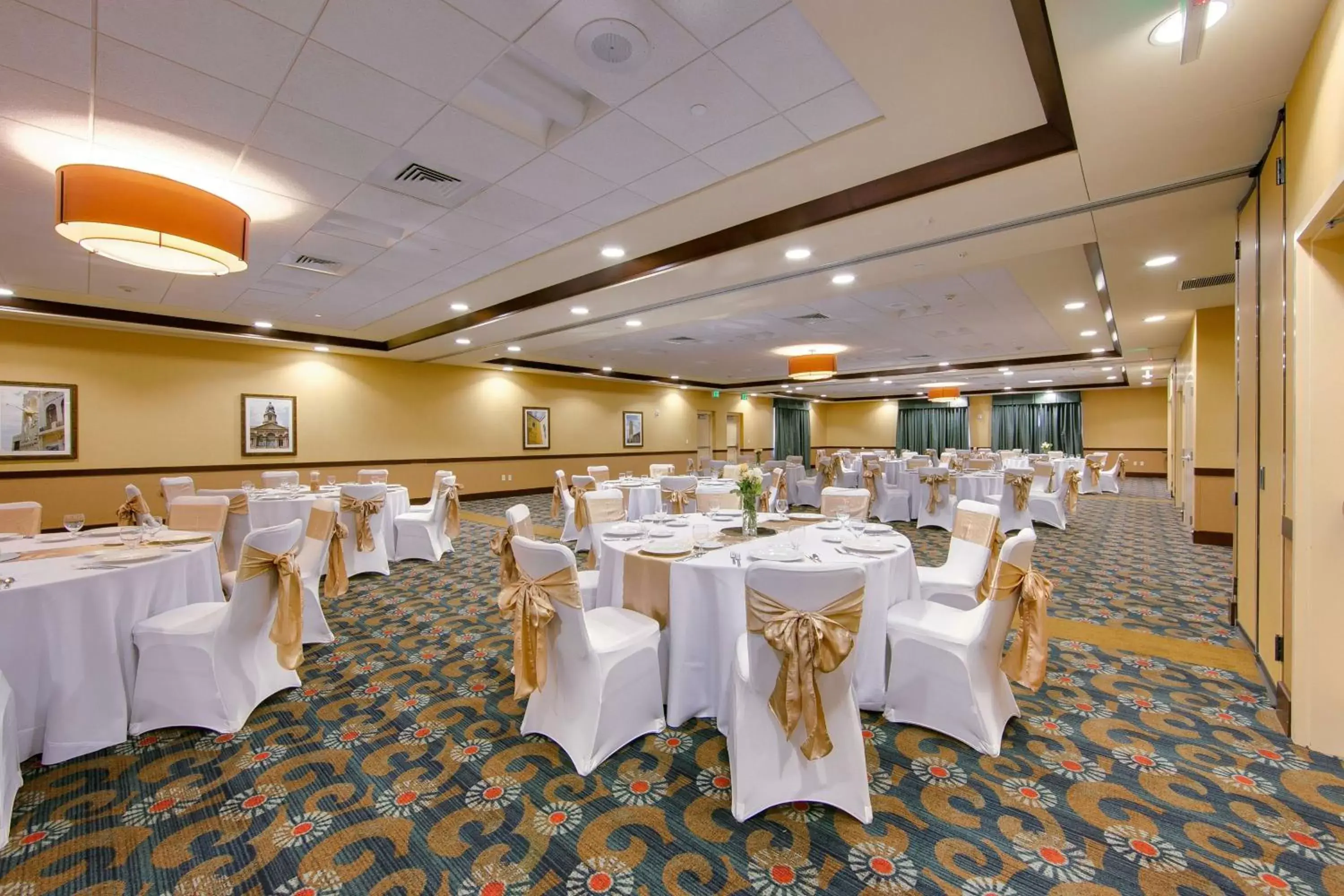 Meeting/conference room, Banquet Facilities in Hilton Garden Inn Fort Worth Medical Center
