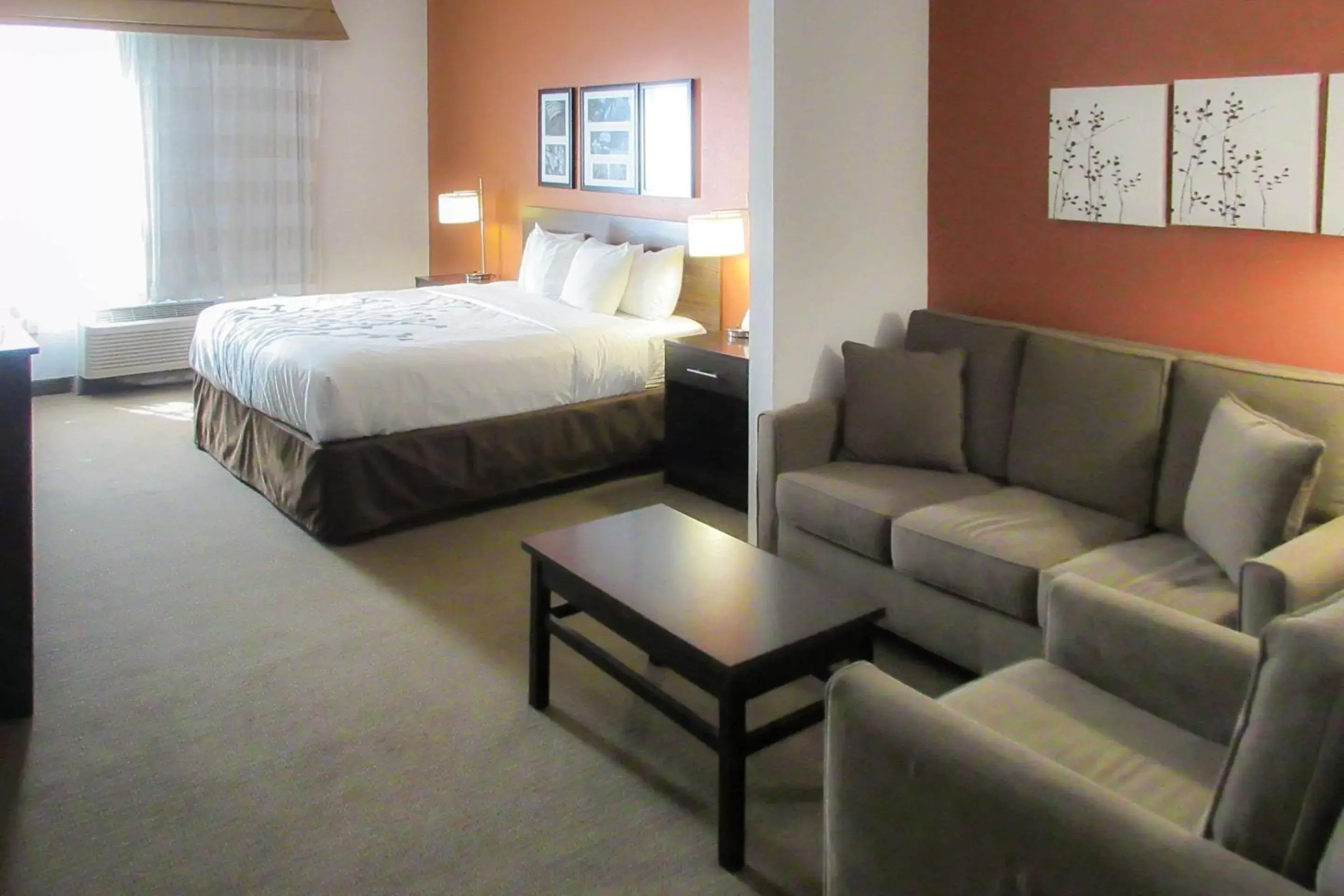 Photo of the whole room in Sleep Inn & Suites Dania Beach