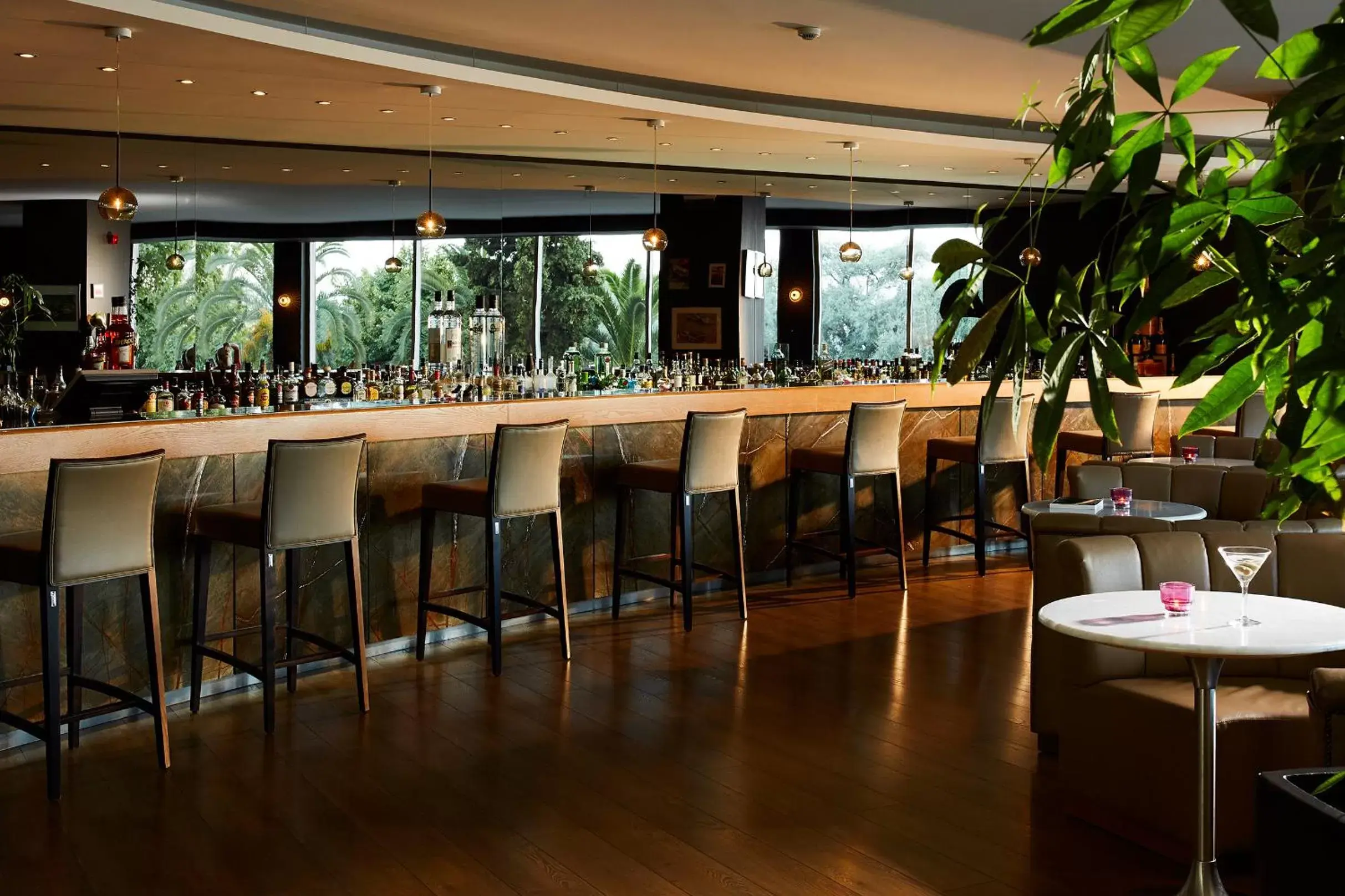 Lounge or bar, Restaurant/Places to Eat in Lucy Hotel