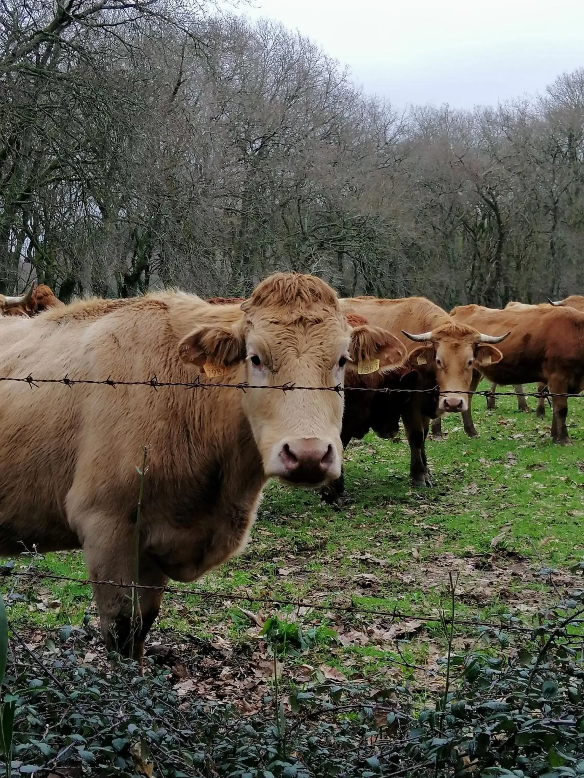 Hiking, Other Animals in Lar da Mota Boutique Hotel