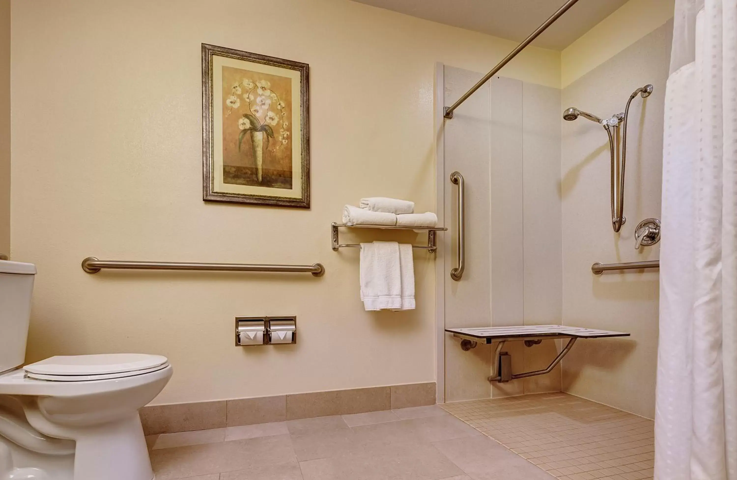 Shower, Bathroom in Holiday Inn Express San Diego - Sorrento Valley, an IHG Hotel