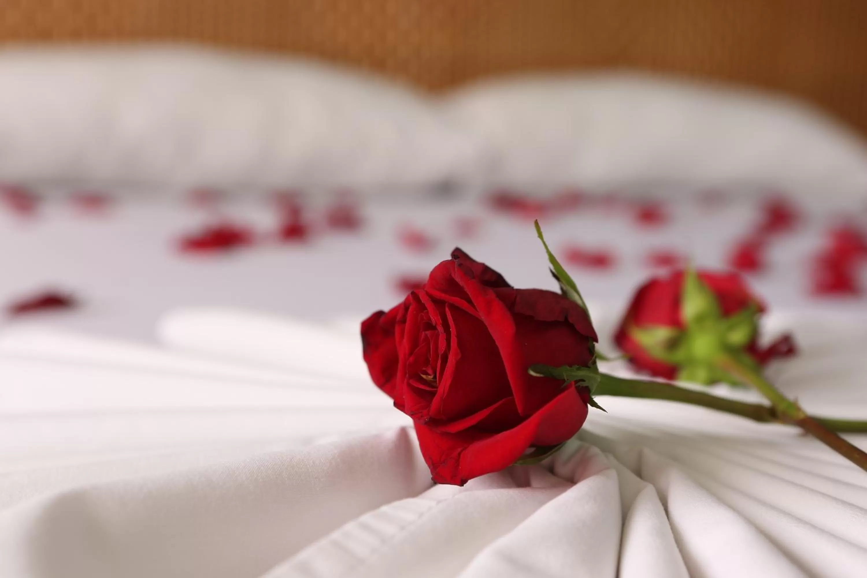 Bed in Hotel Anamichu Suites