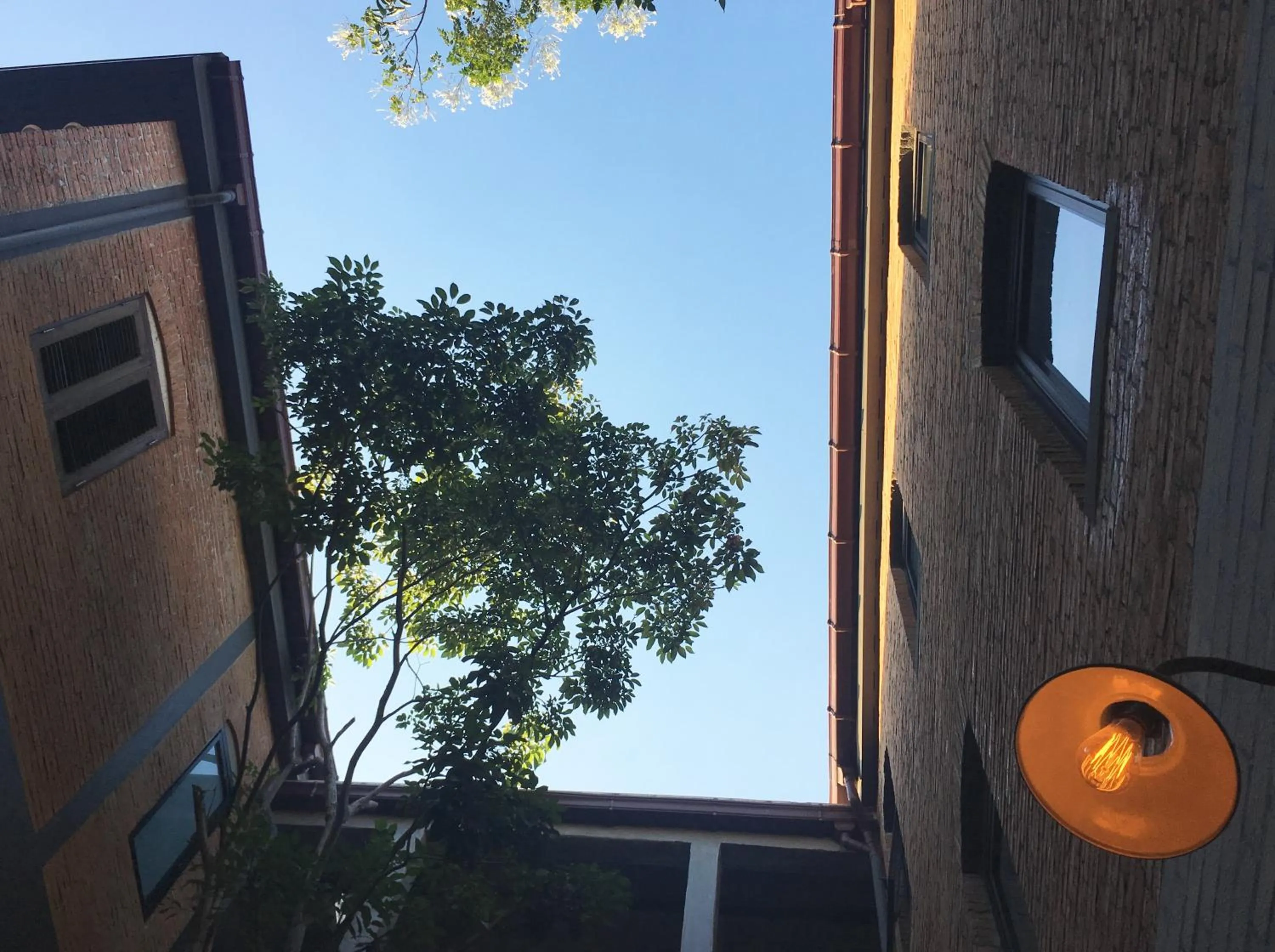 Sunset in Hotel Noir