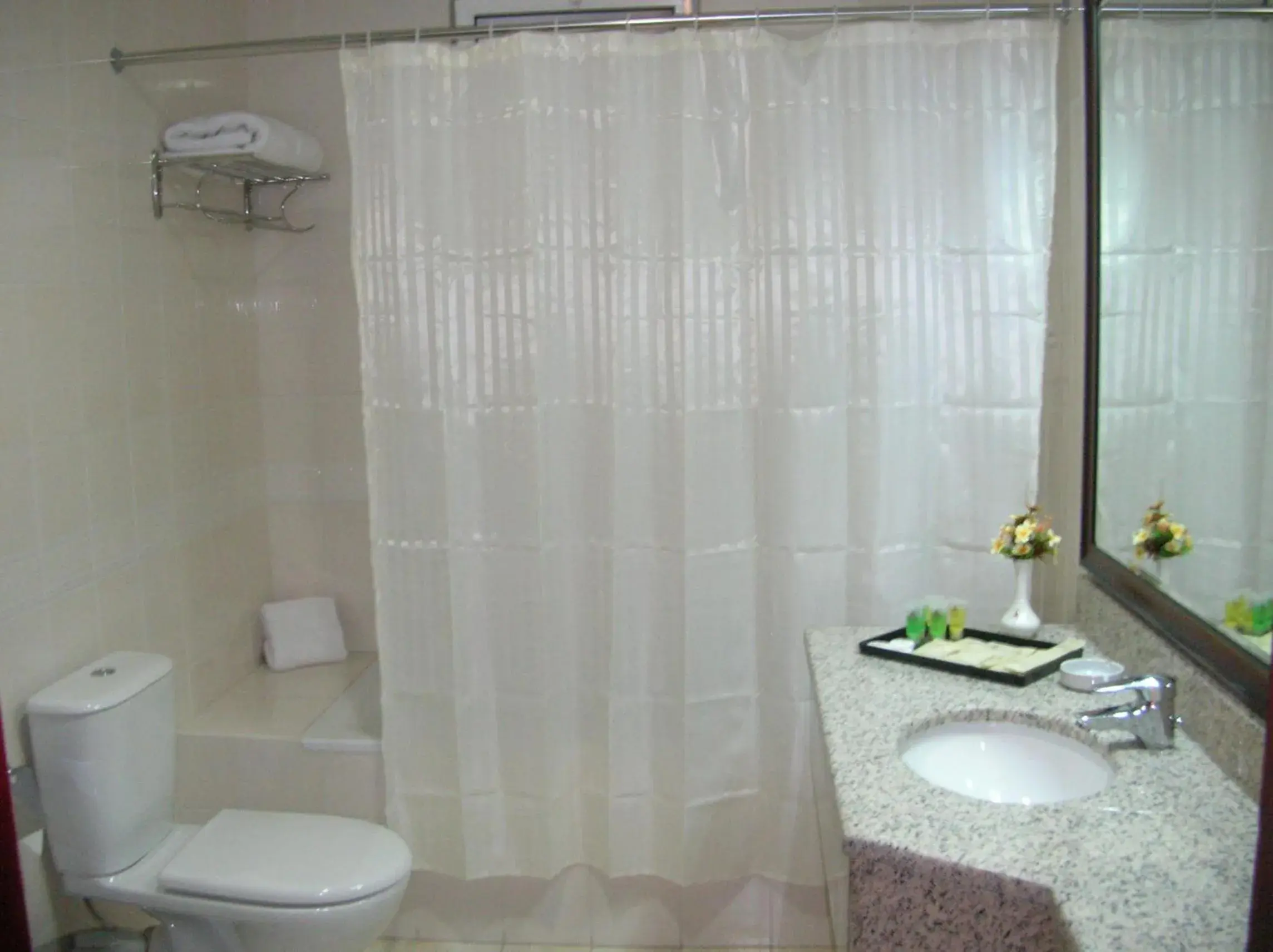 Bathroom in Al Thuraya Hotel