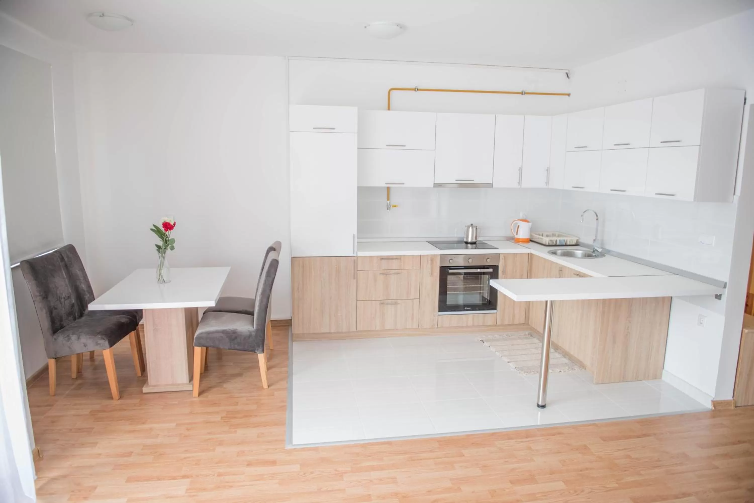 Kitchen/Kitchenette in Leader apartment