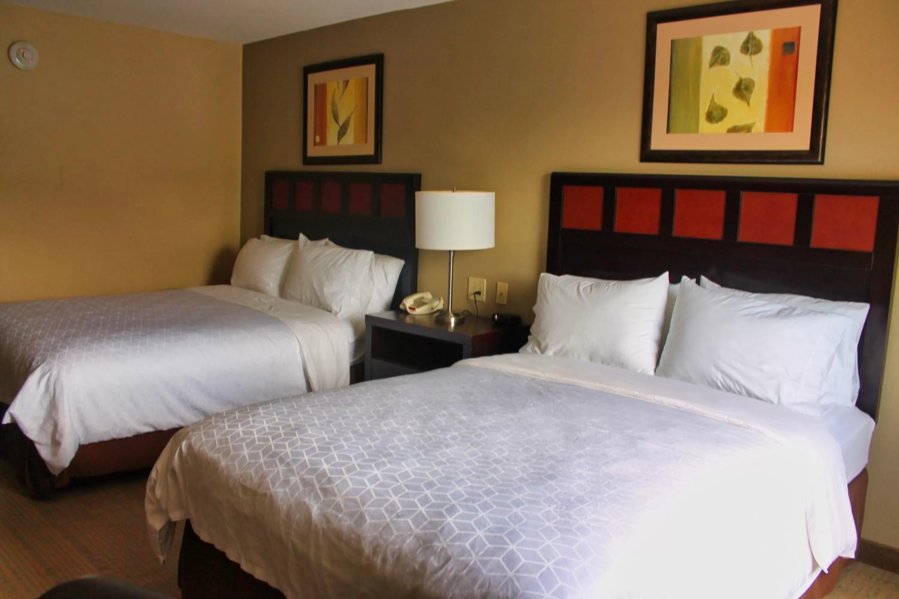 Queen Room with Two Queen Beds - Non-Smoking in Holiday Inn Express Palestine, an IHG Hotel