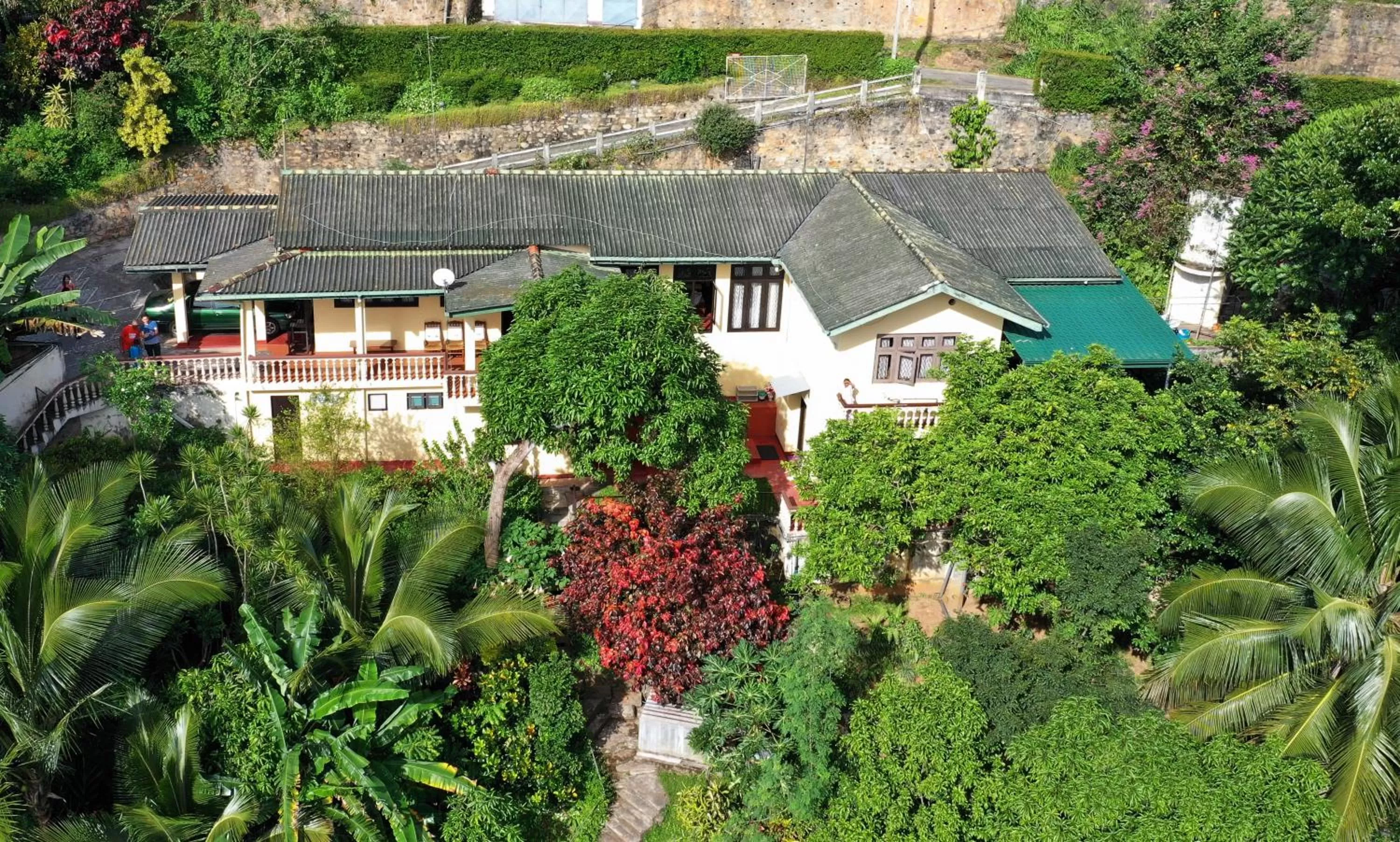 Bird's eye view in Evergreen