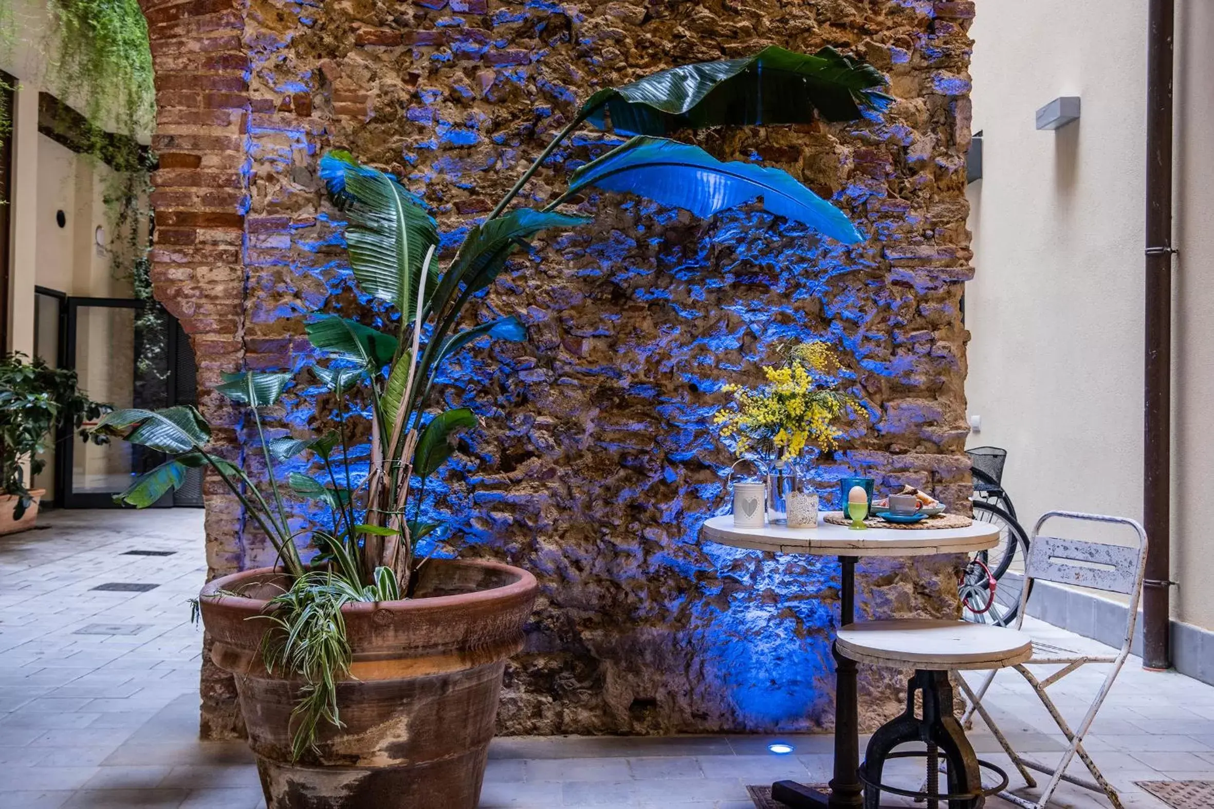 Patio in Agave in Città