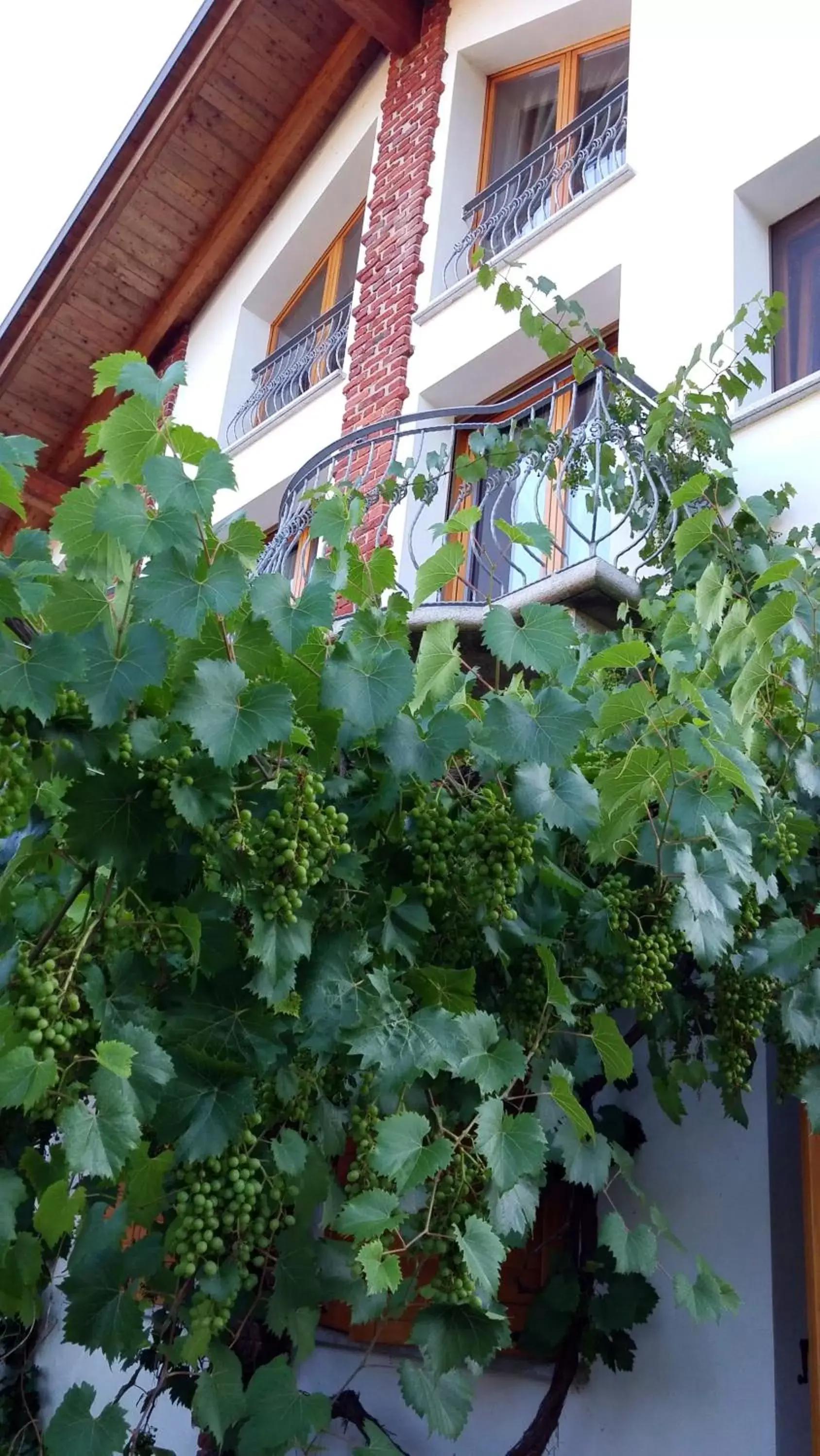 Facade/entrance, Property Building in Relais Profumo di Vino