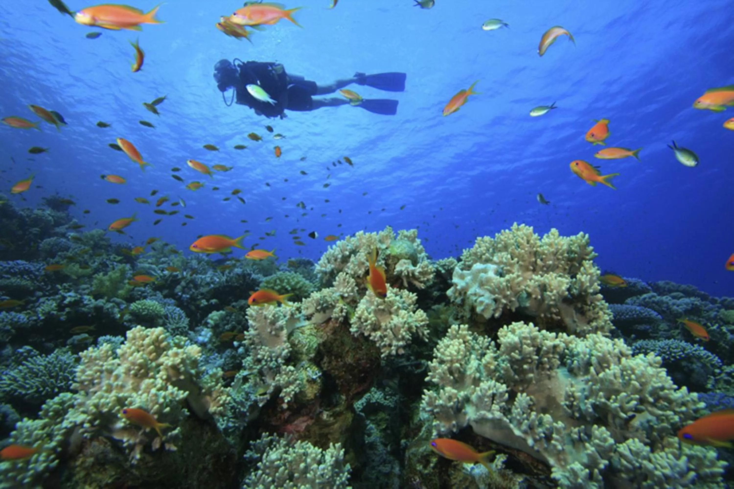 Off site in Sublime Samana