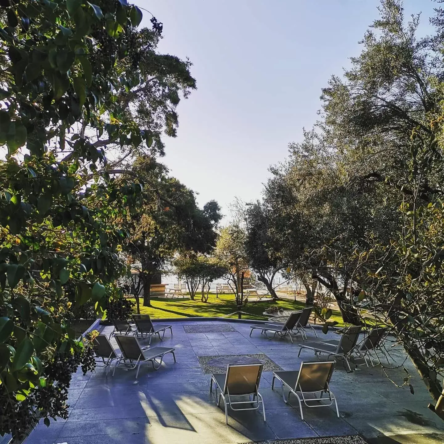 Garden, Swimming Pool in Iris Hotel