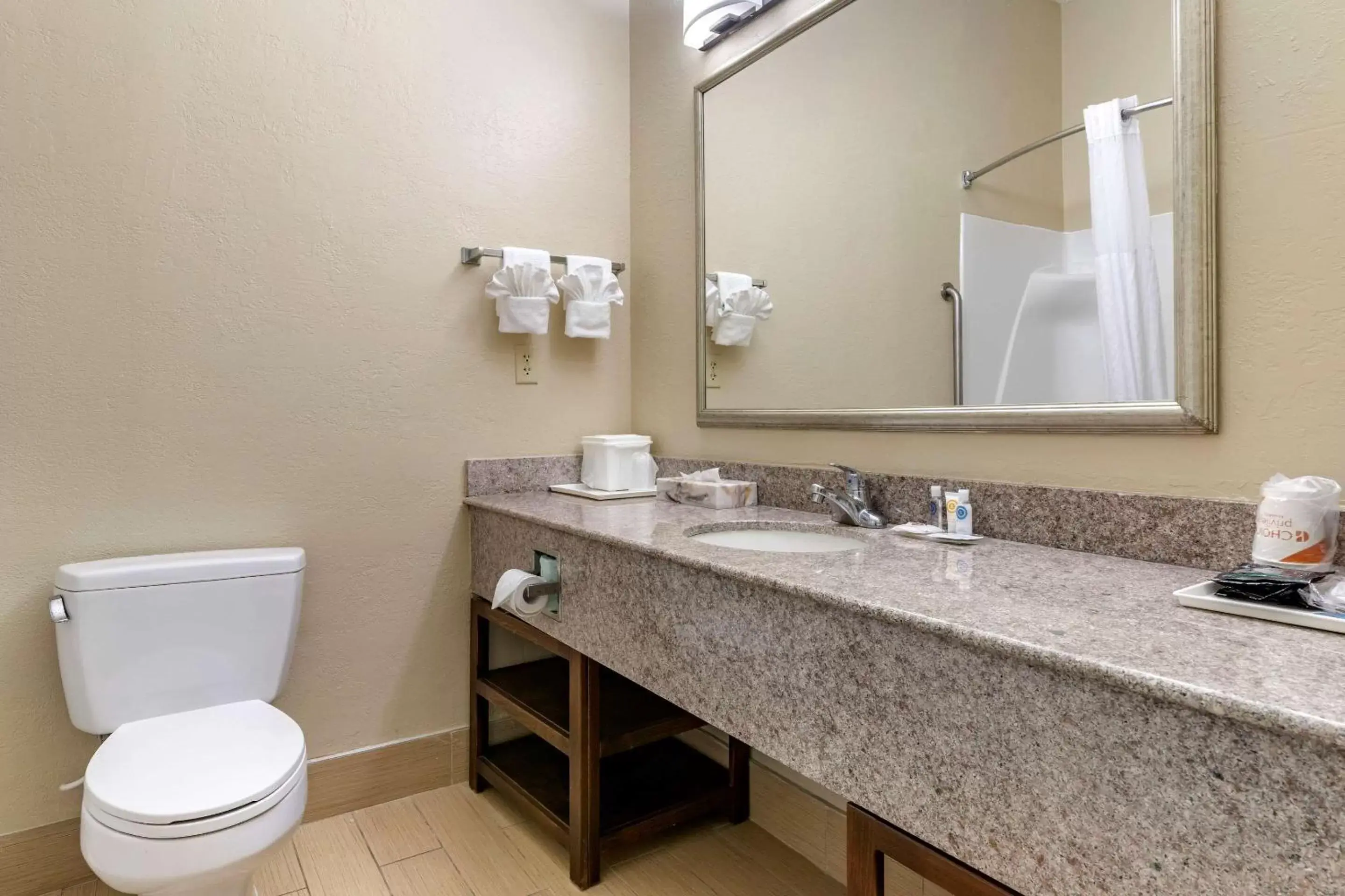 Photo of the whole room, Bathroom in Comfort Inn & Suites Statesboro - University Area