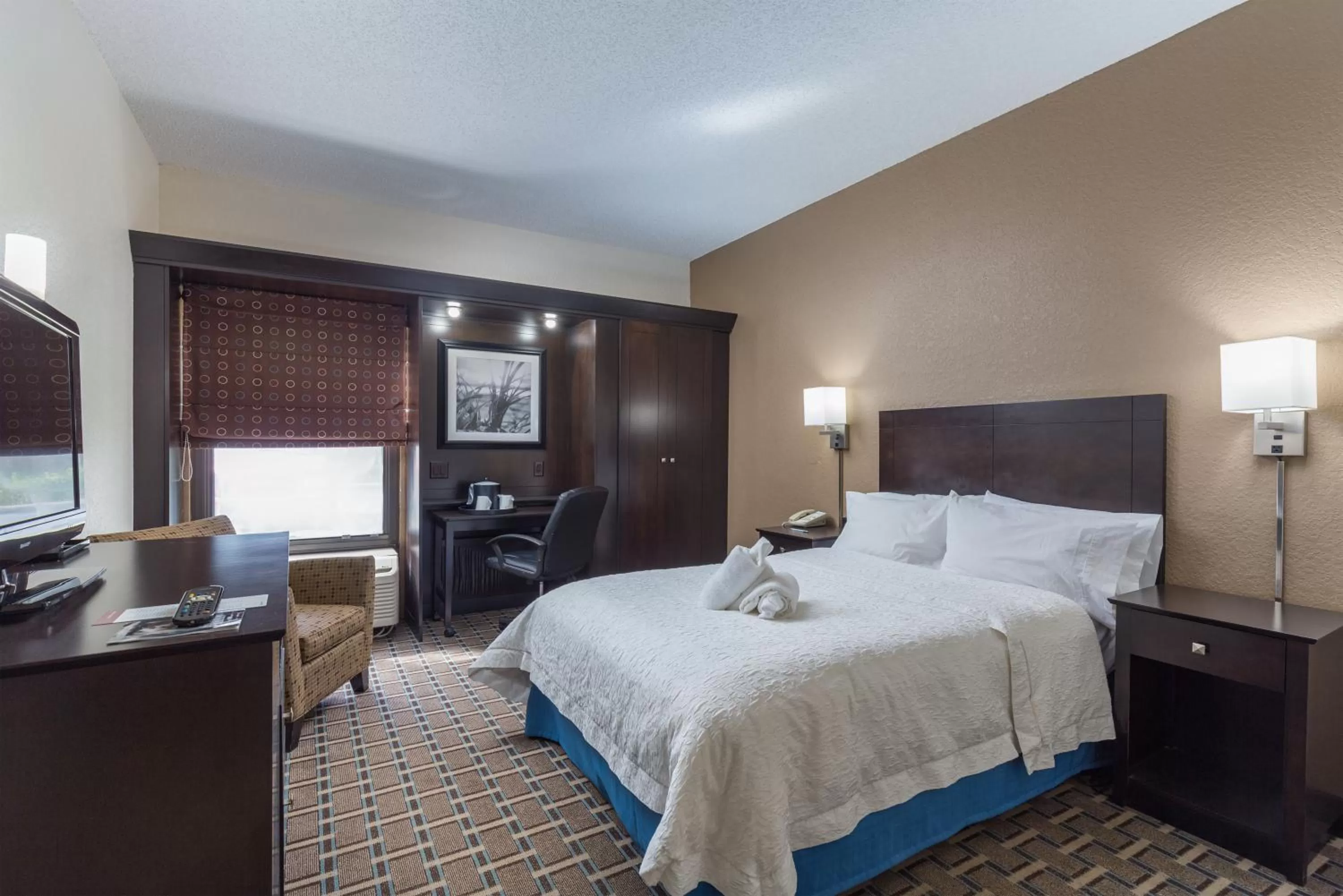 Standard Room in Spark by Hilton Tampa Brandon