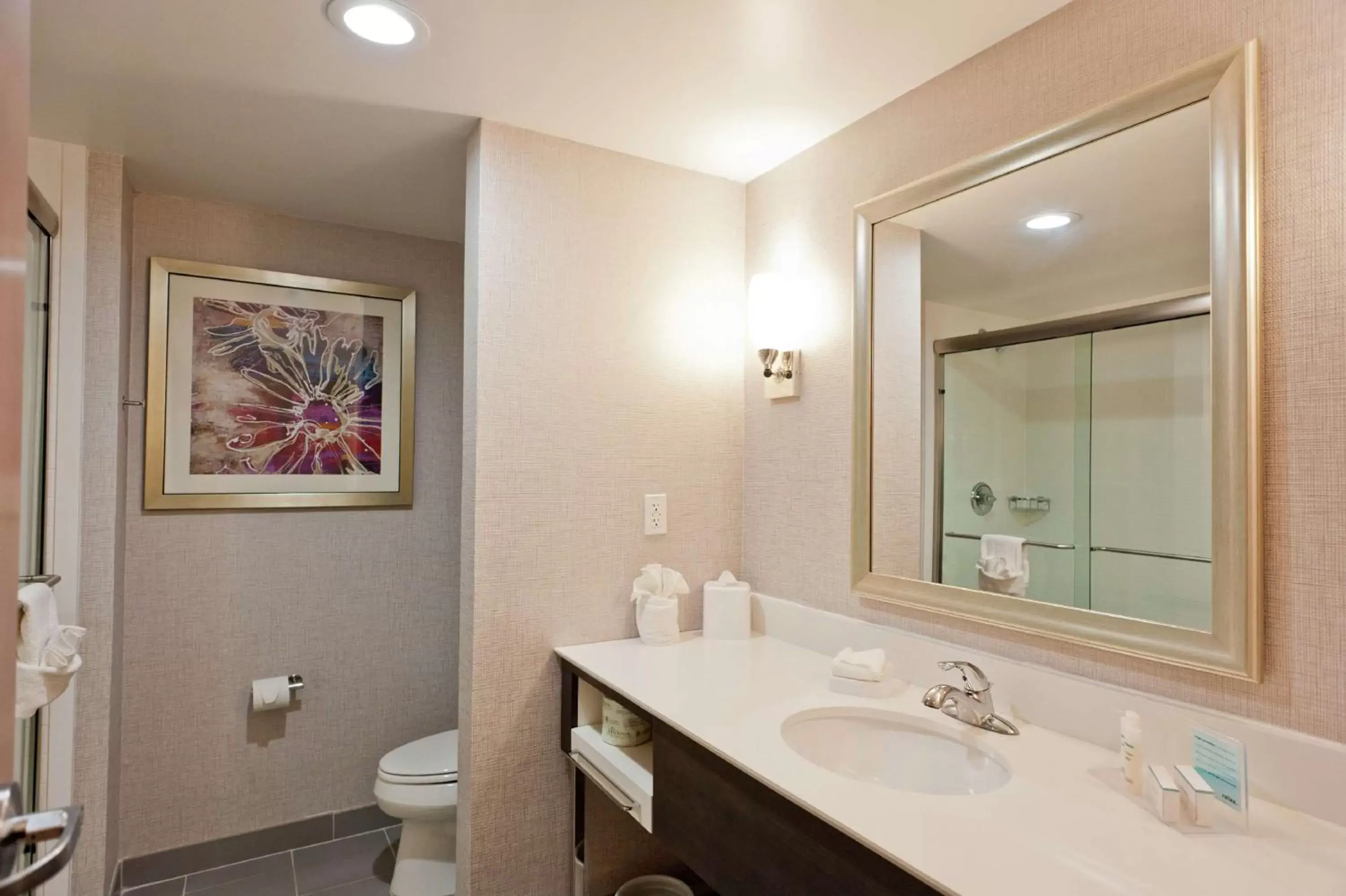 Bathroom in Hampton Inn & Suites Ridgeland