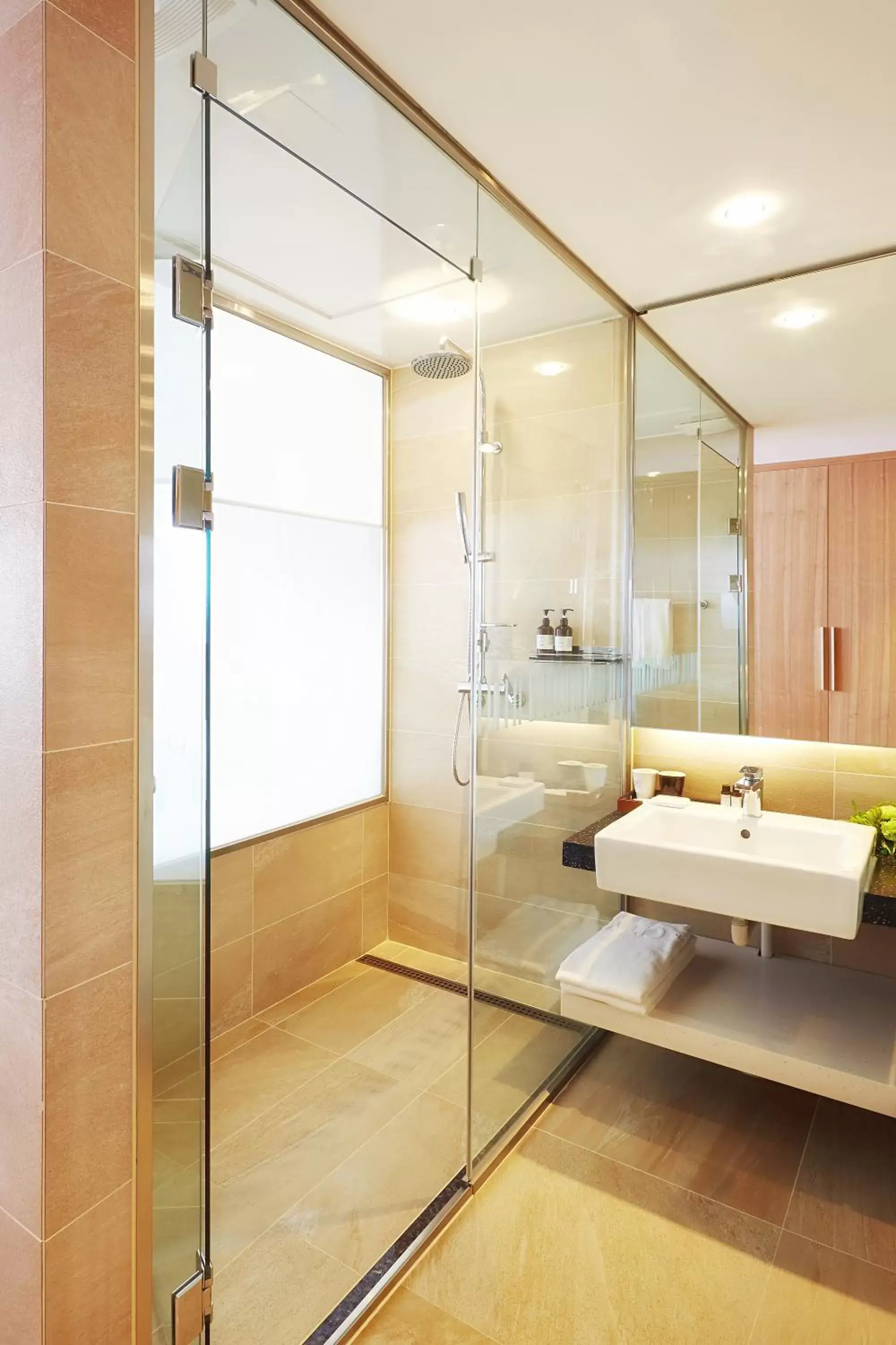 Shower, Bathroom in Ulsan City Hotel