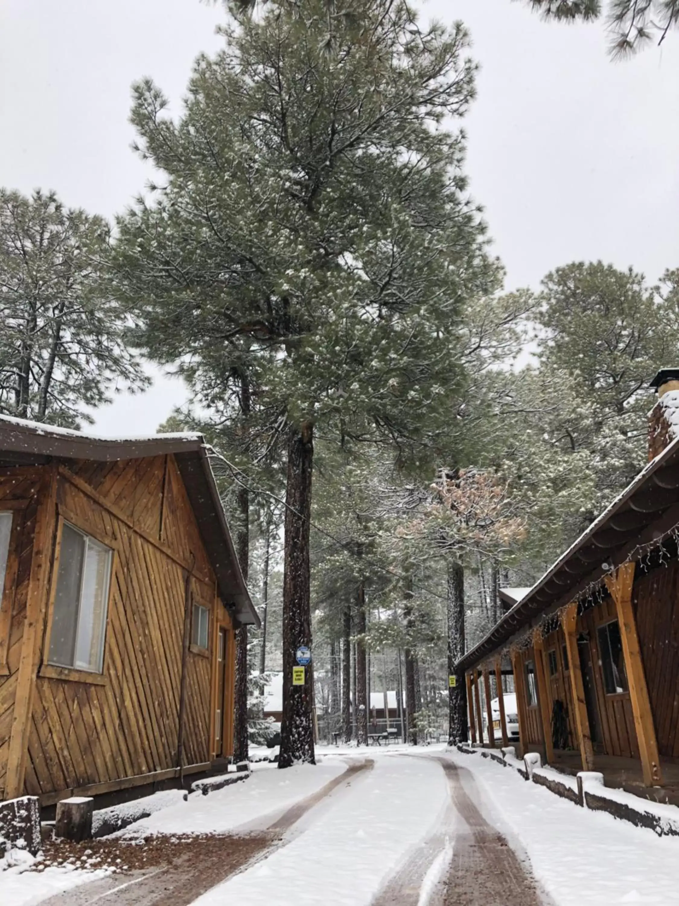 Winter in TimberLodge Inn