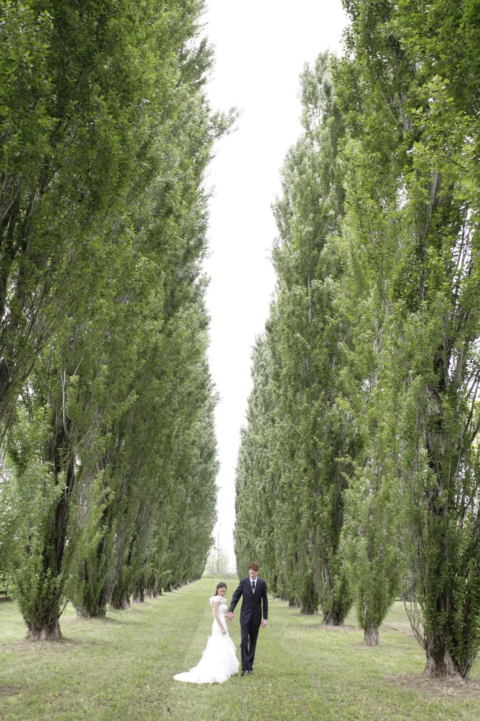 Garden in Villa Belvedere 1849