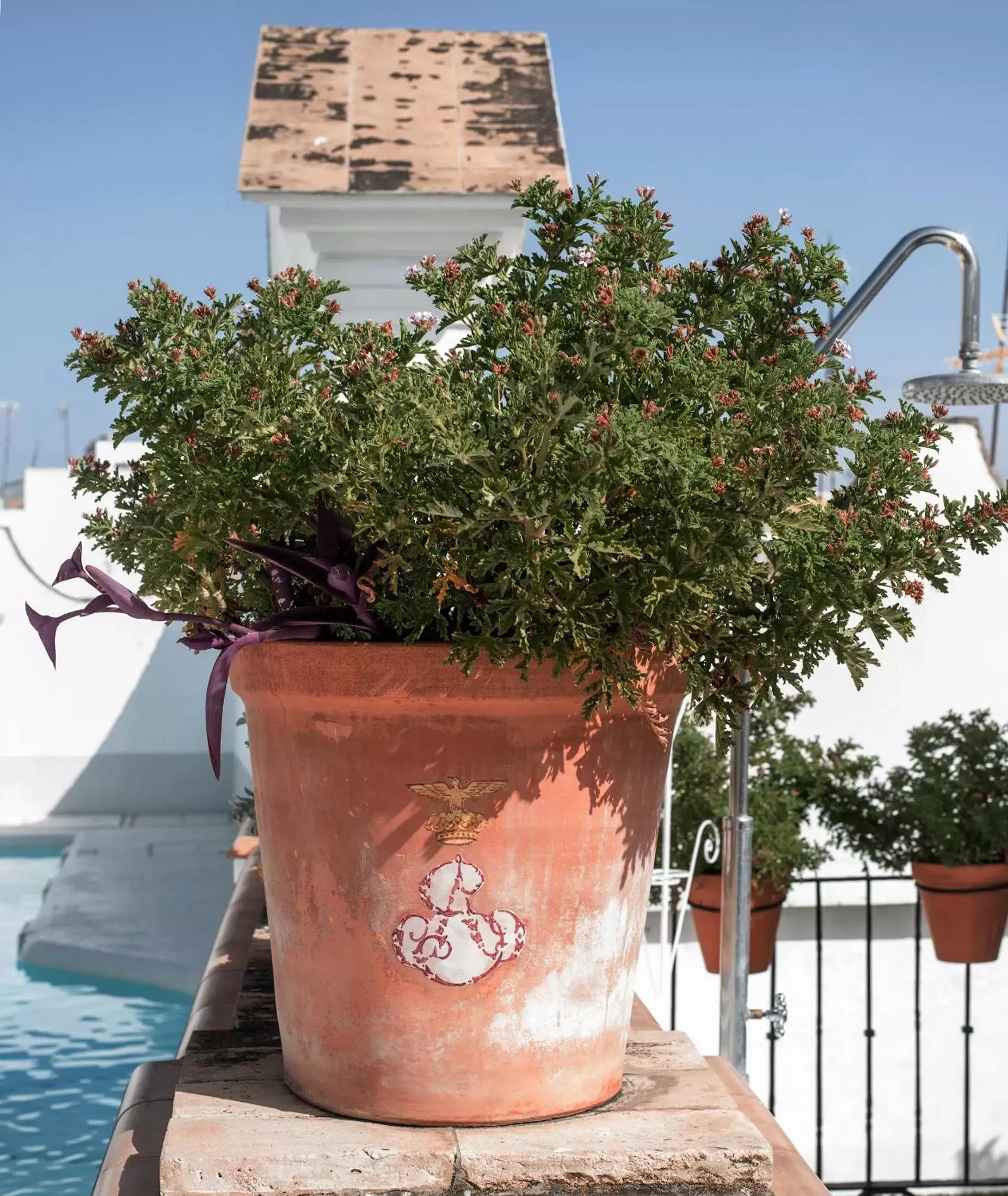 Decorative detail in Hotel Las Casas de la Judería