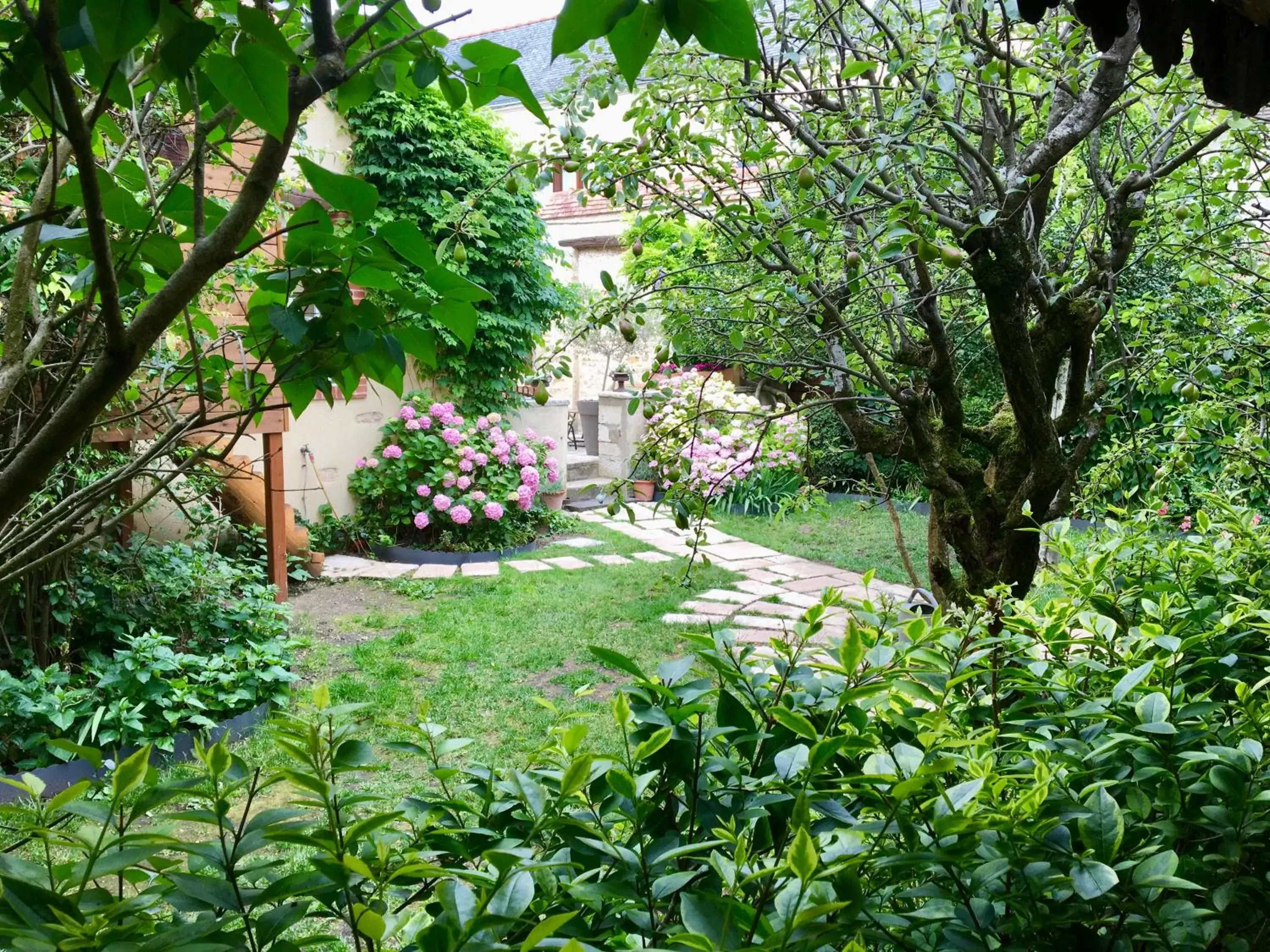 Natural landscape, Garden in La maison de Montaboulin