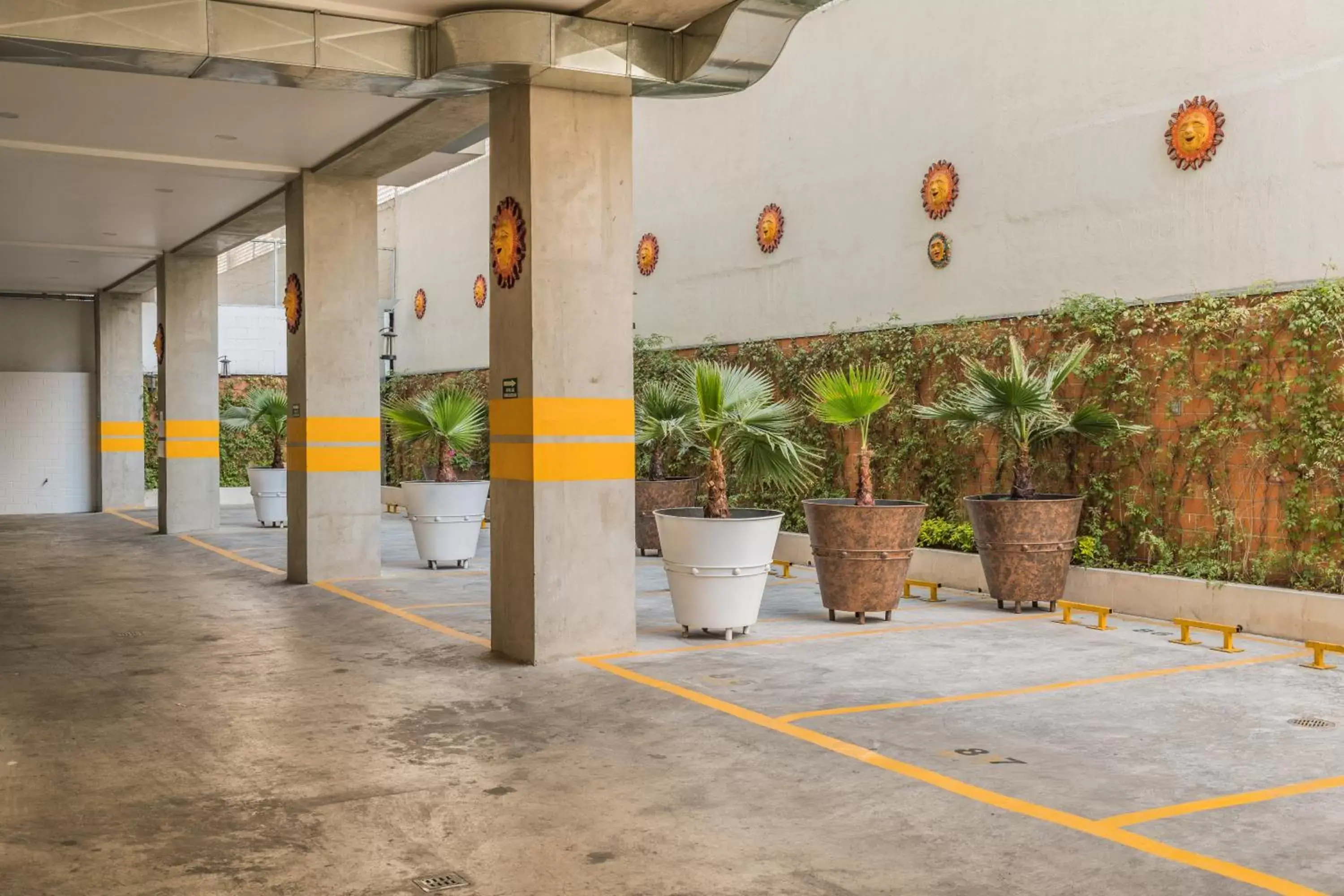 Area and facilities in Suites Perisur Apartamentos Amueblados