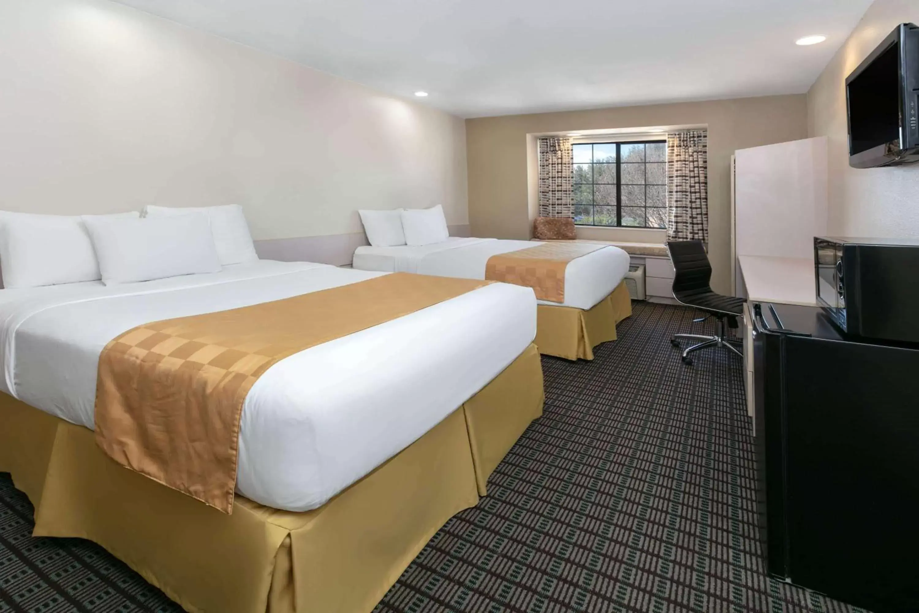 Photo of the whole room in Microtel Inn & Suites by Wyndham Arlington/Dallas Area