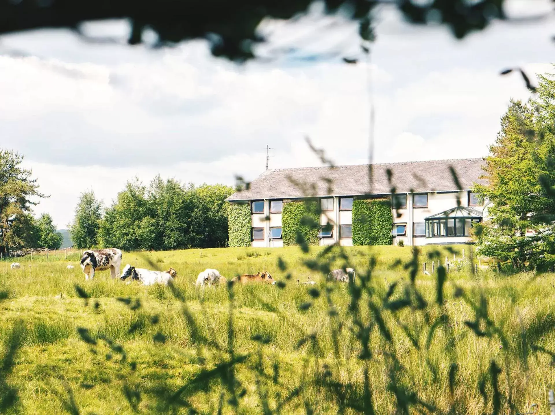 Property Building in Westmorland Hotel Tebay