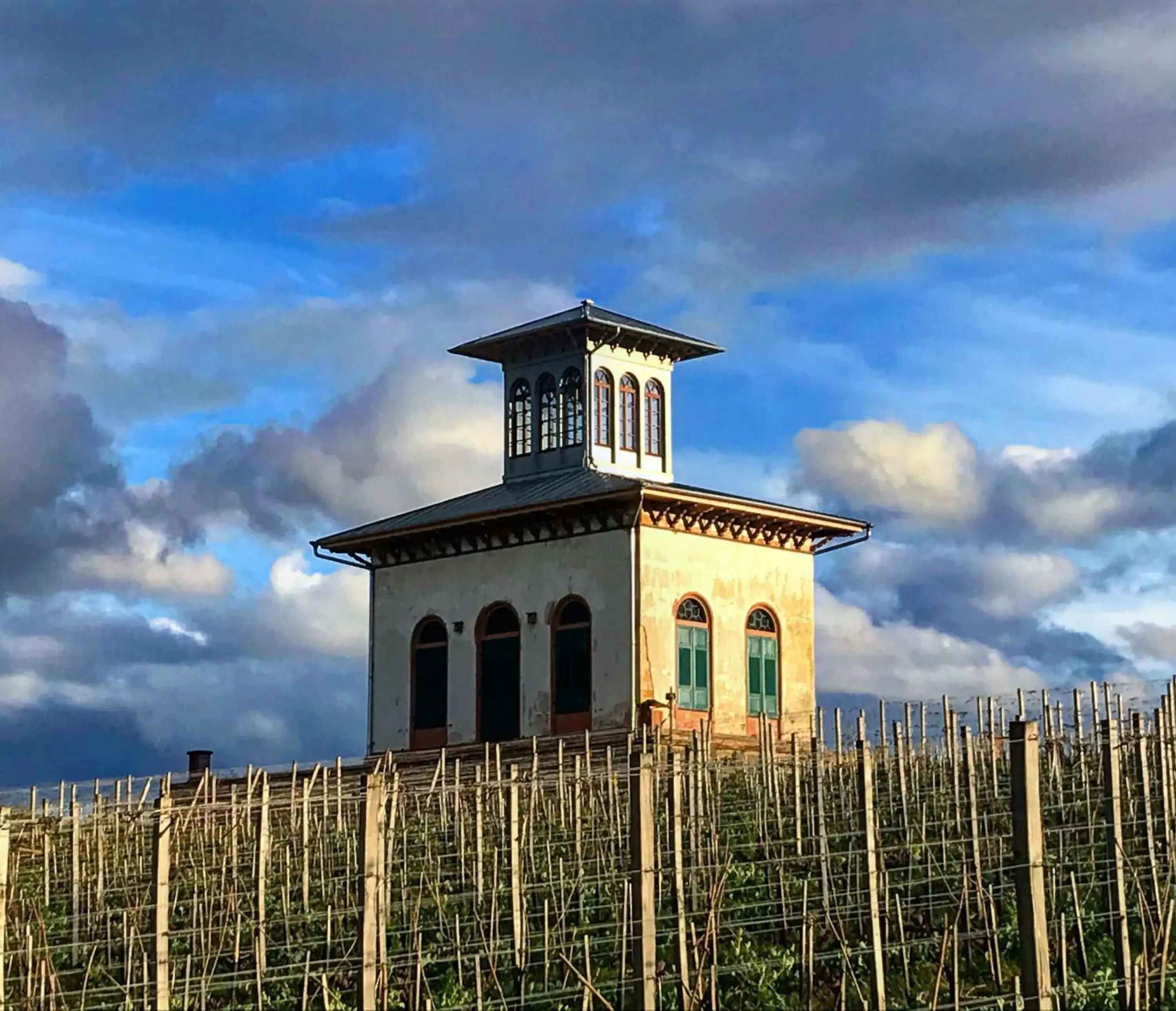 Landmark view in MAXX by Steigenberger Deidesheim