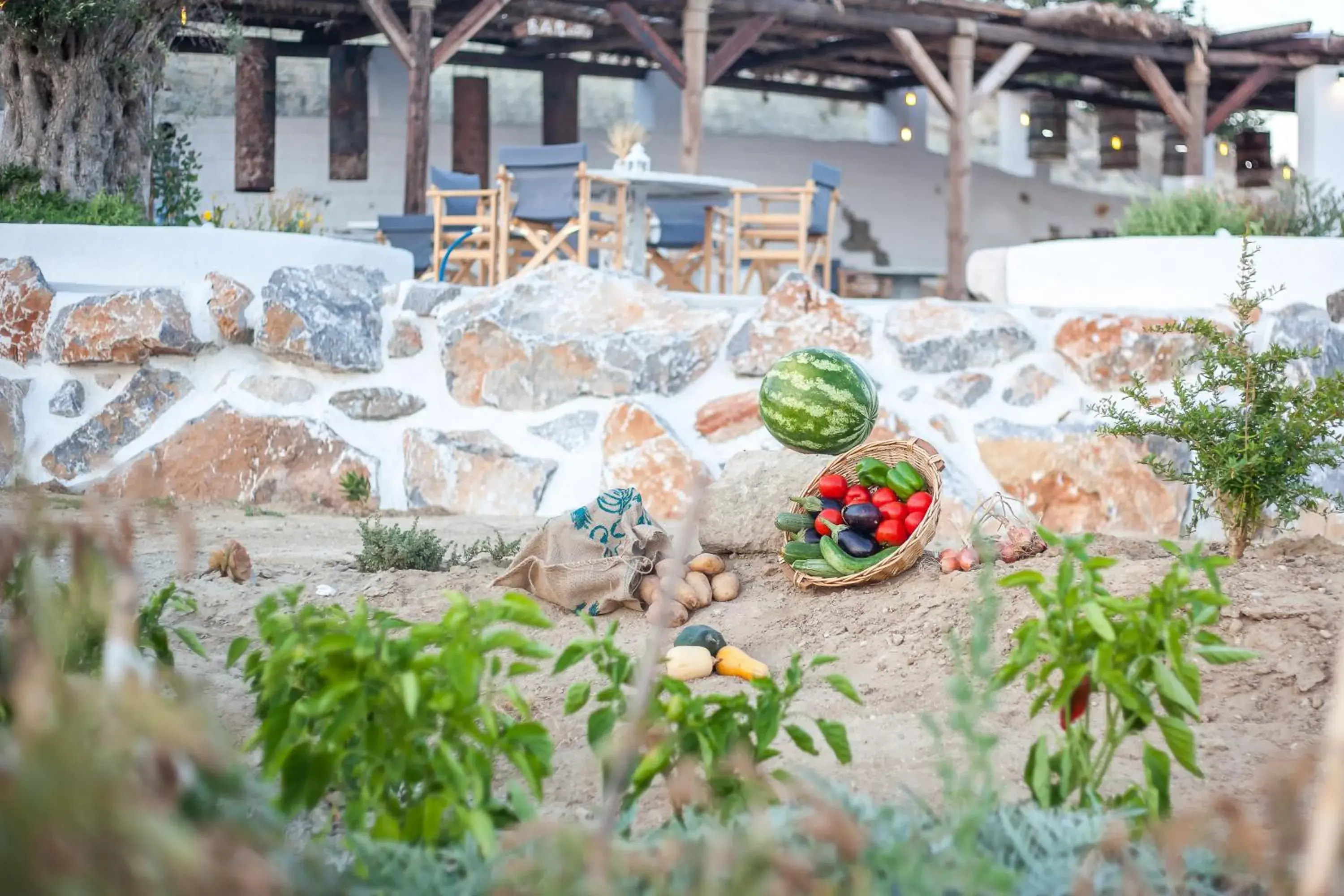 Garden in Ano Kampos Hotel