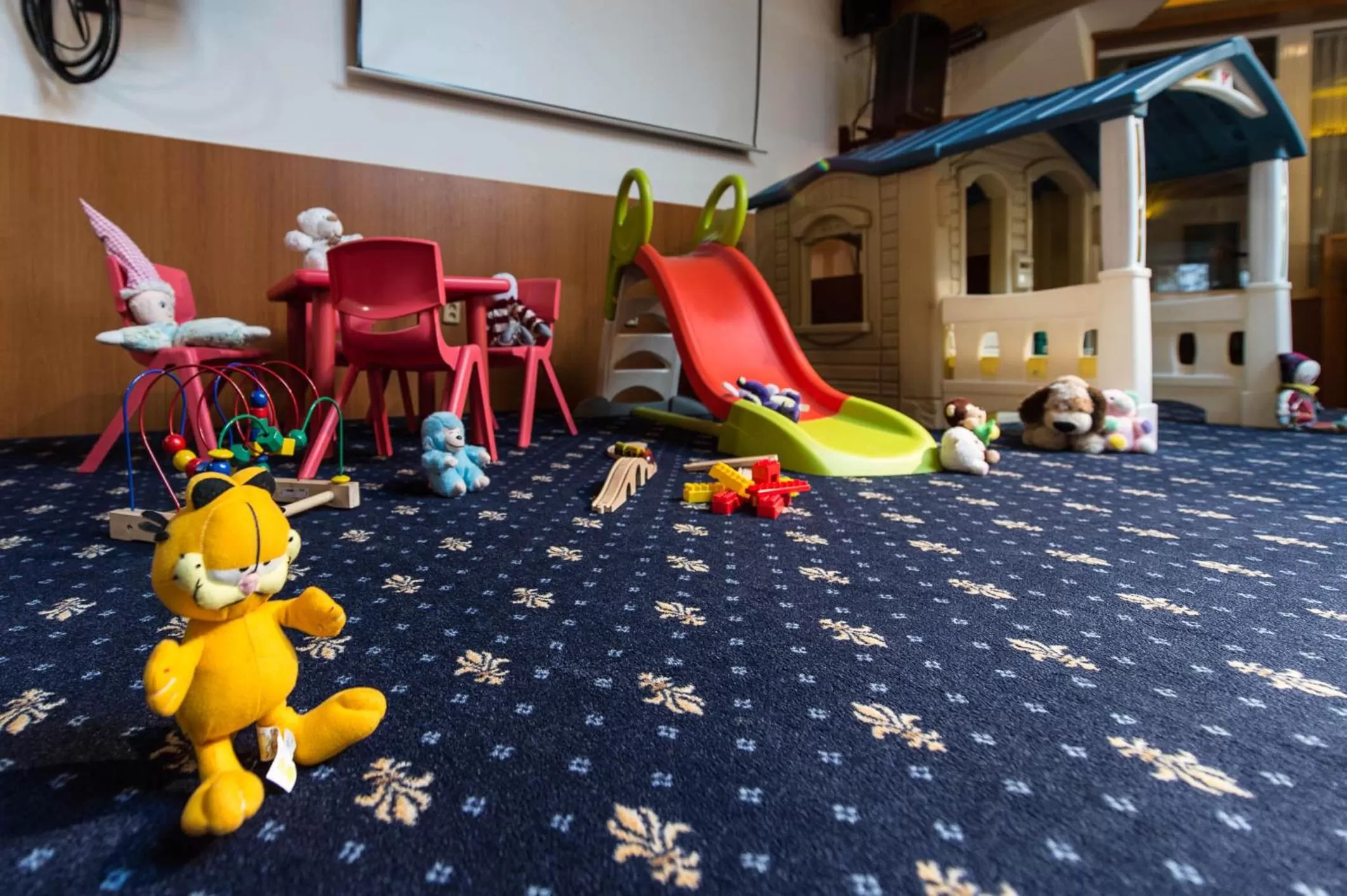 Area and facilities in Sport-V-Hotel