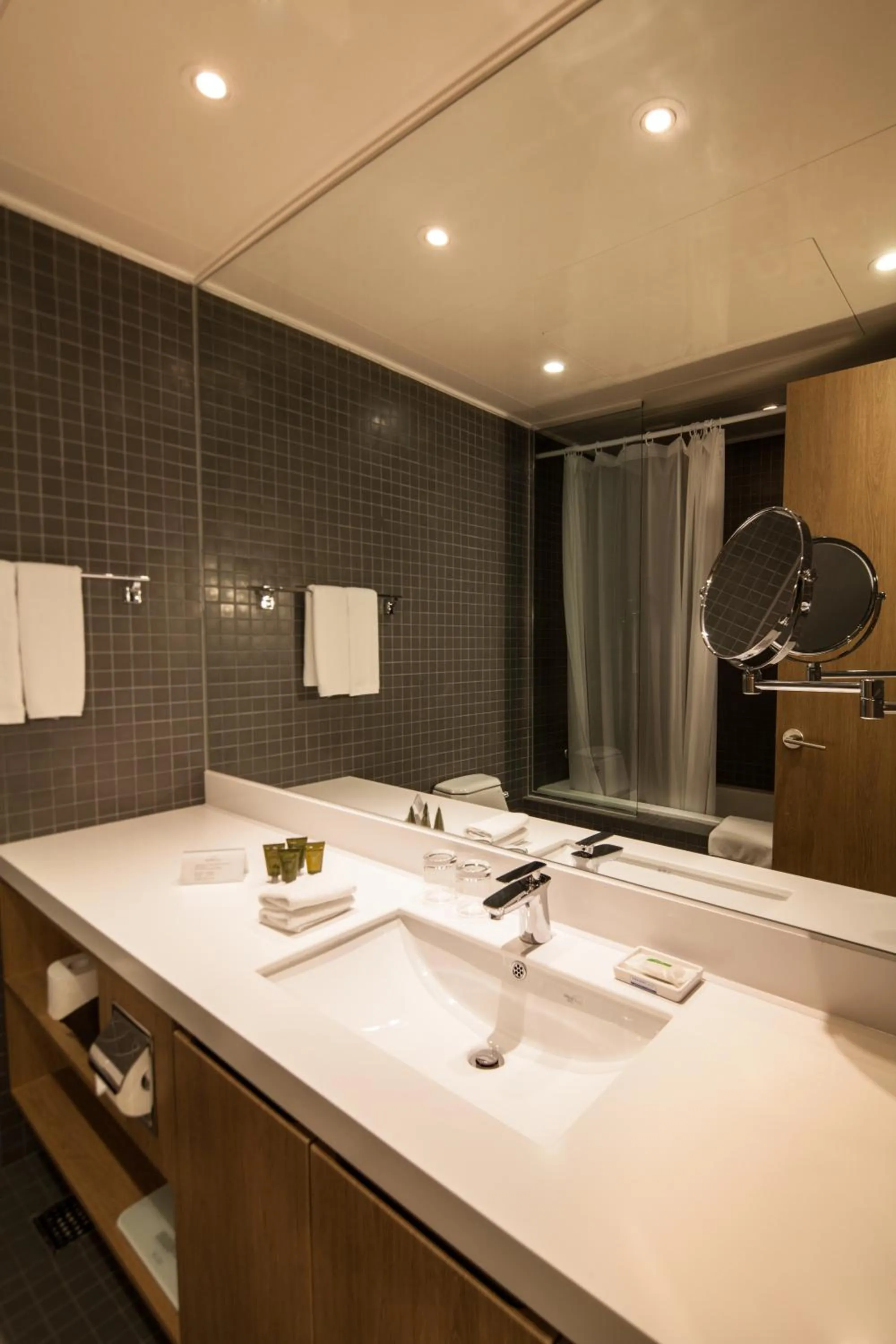 Shower in Fraser Place Central Seoul