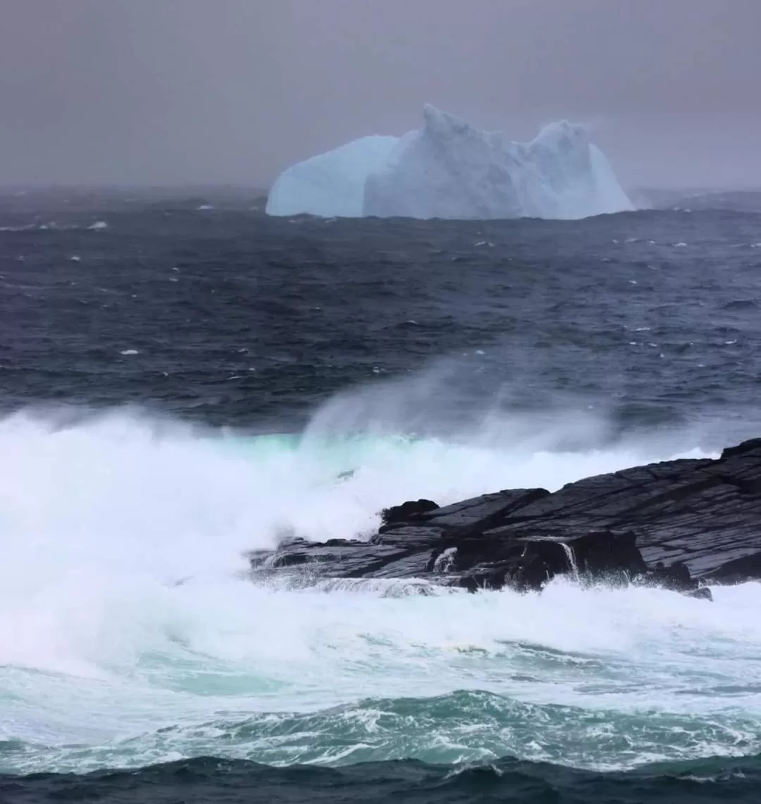 Natural landscape in The Harbourside Inn & Cafe